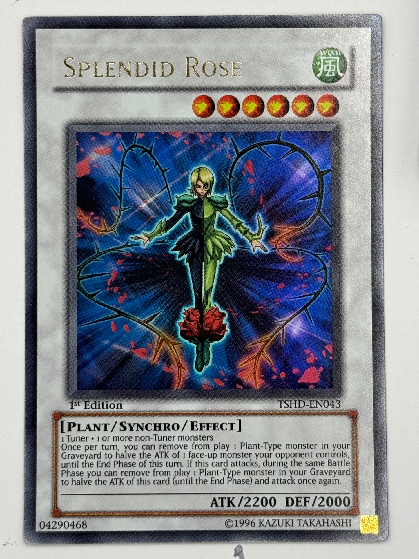 Splendid Rose TSHD-EN043