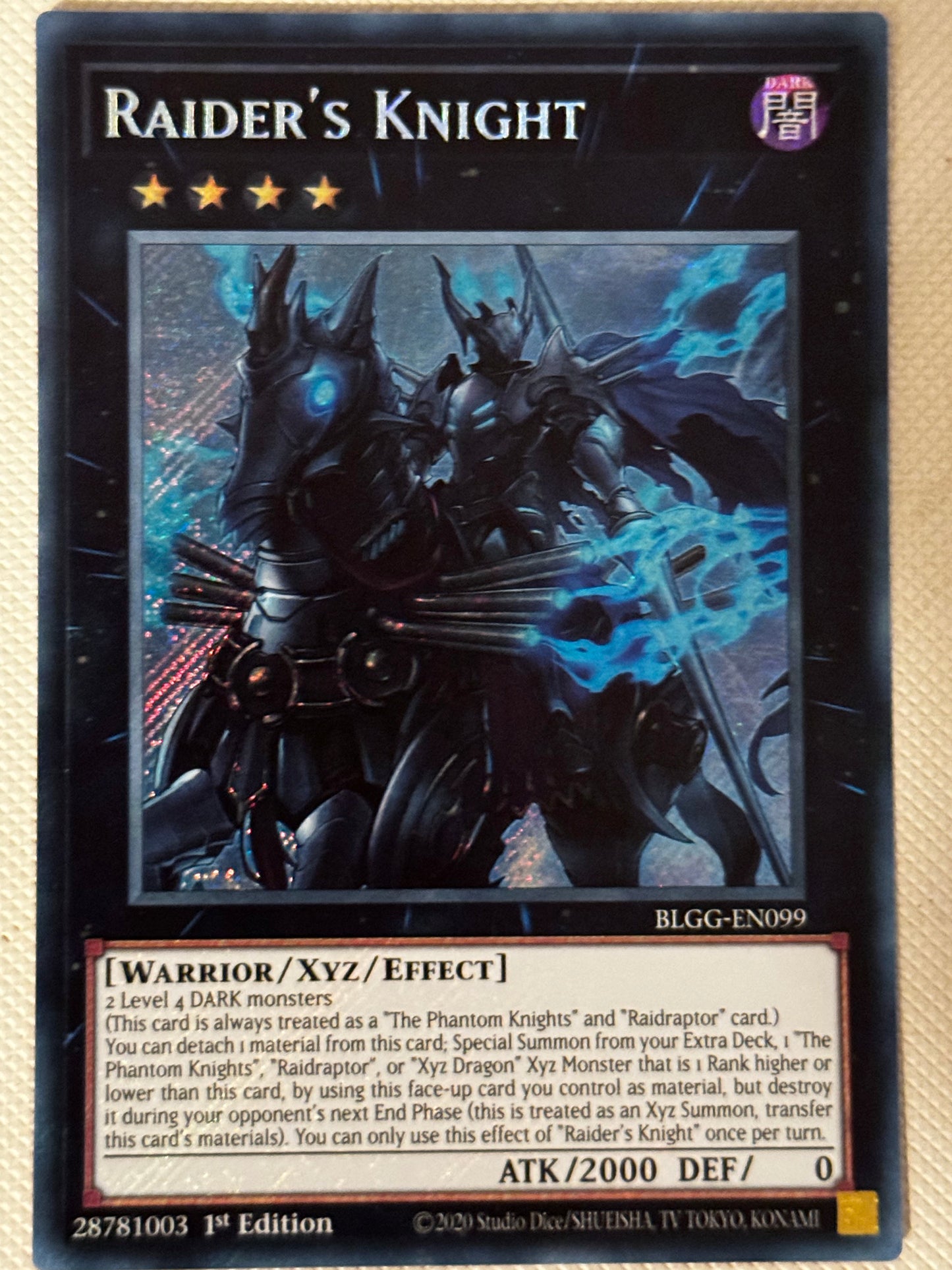 Raider’s Knight BLGG-EN099