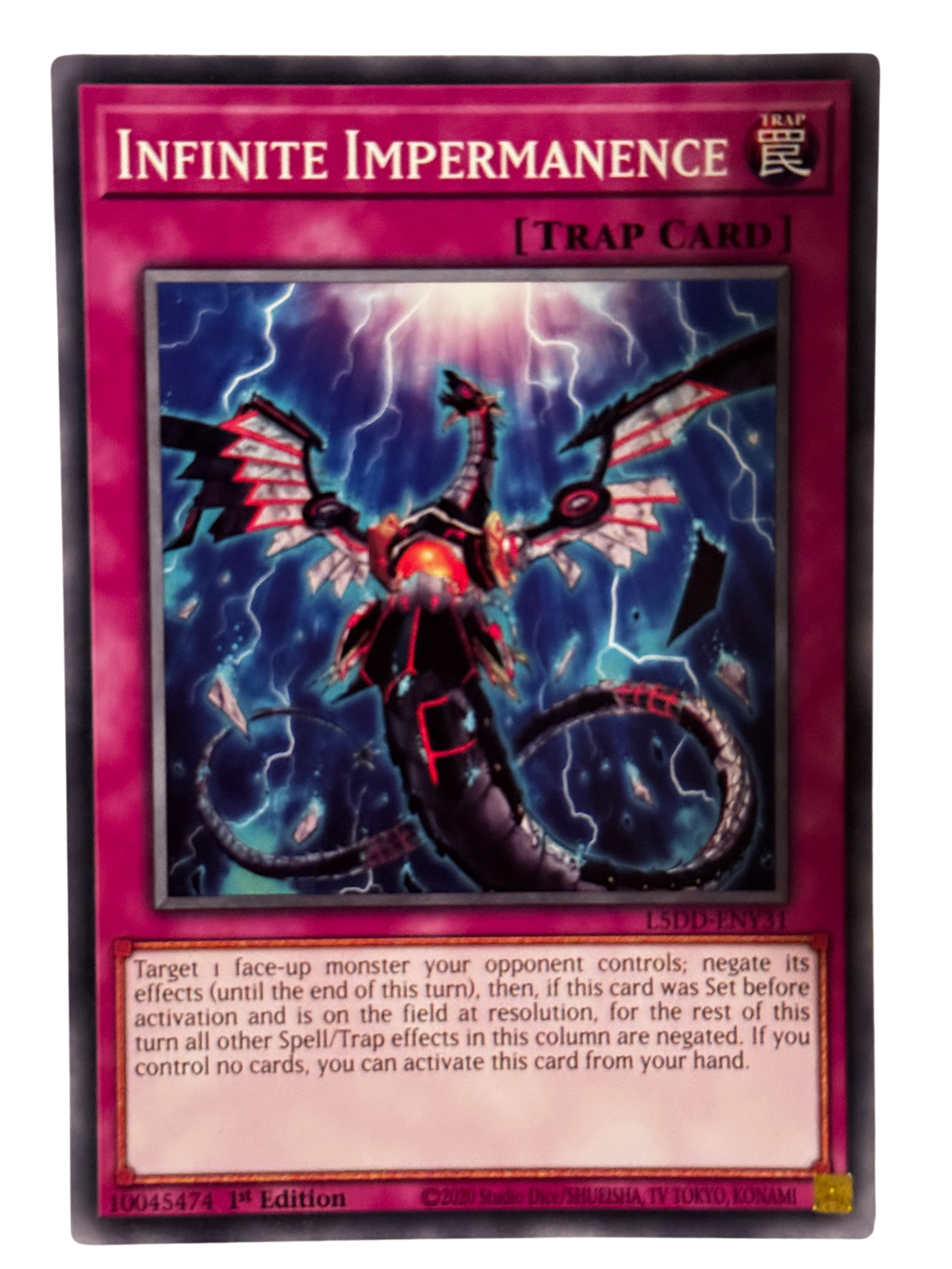 Infinite Impermanence L5DD-ENY31