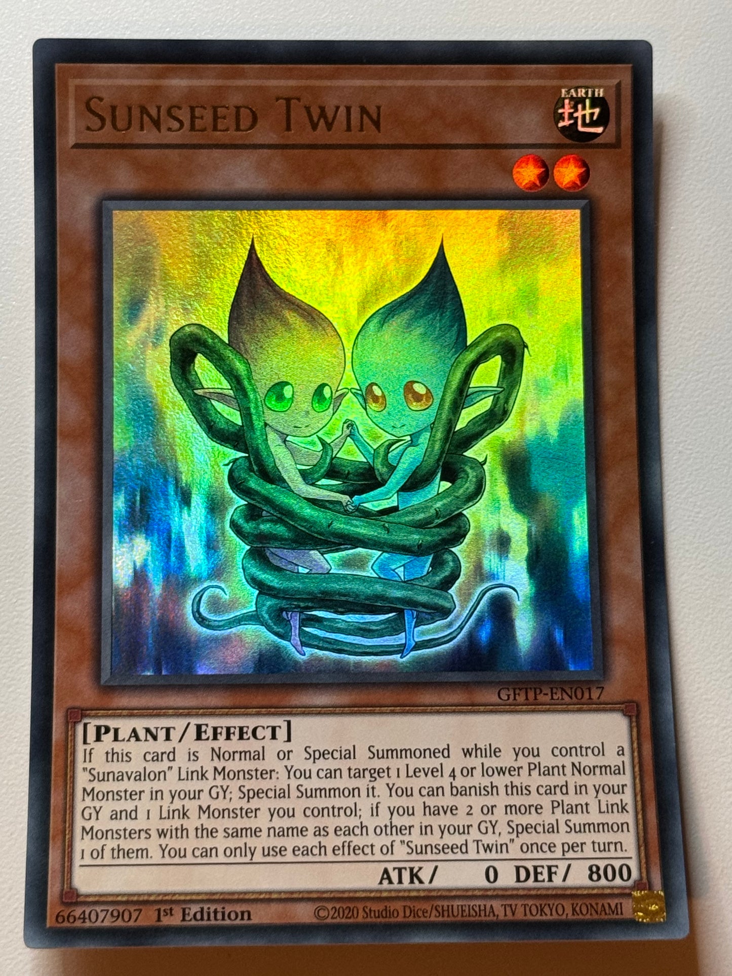 Sunseed Twins GFTP-EN017