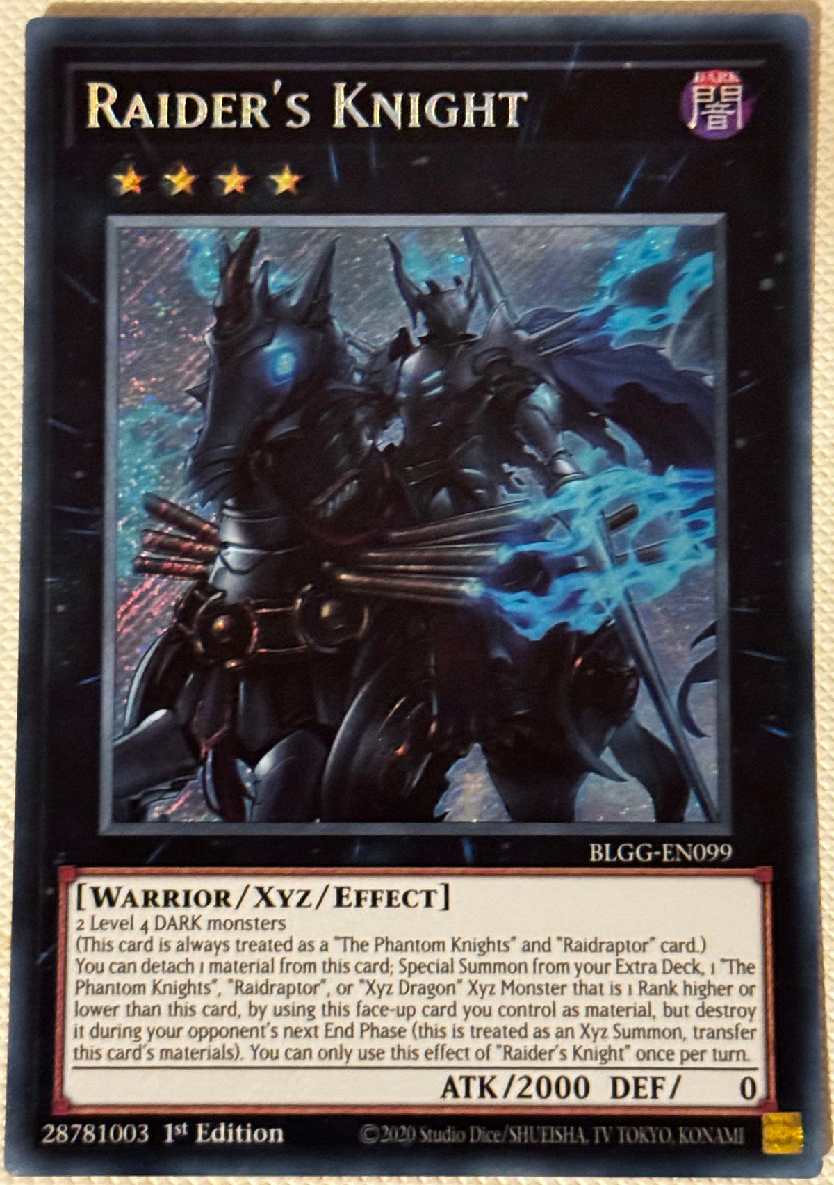 Raider’s Knight BLGG-EN099