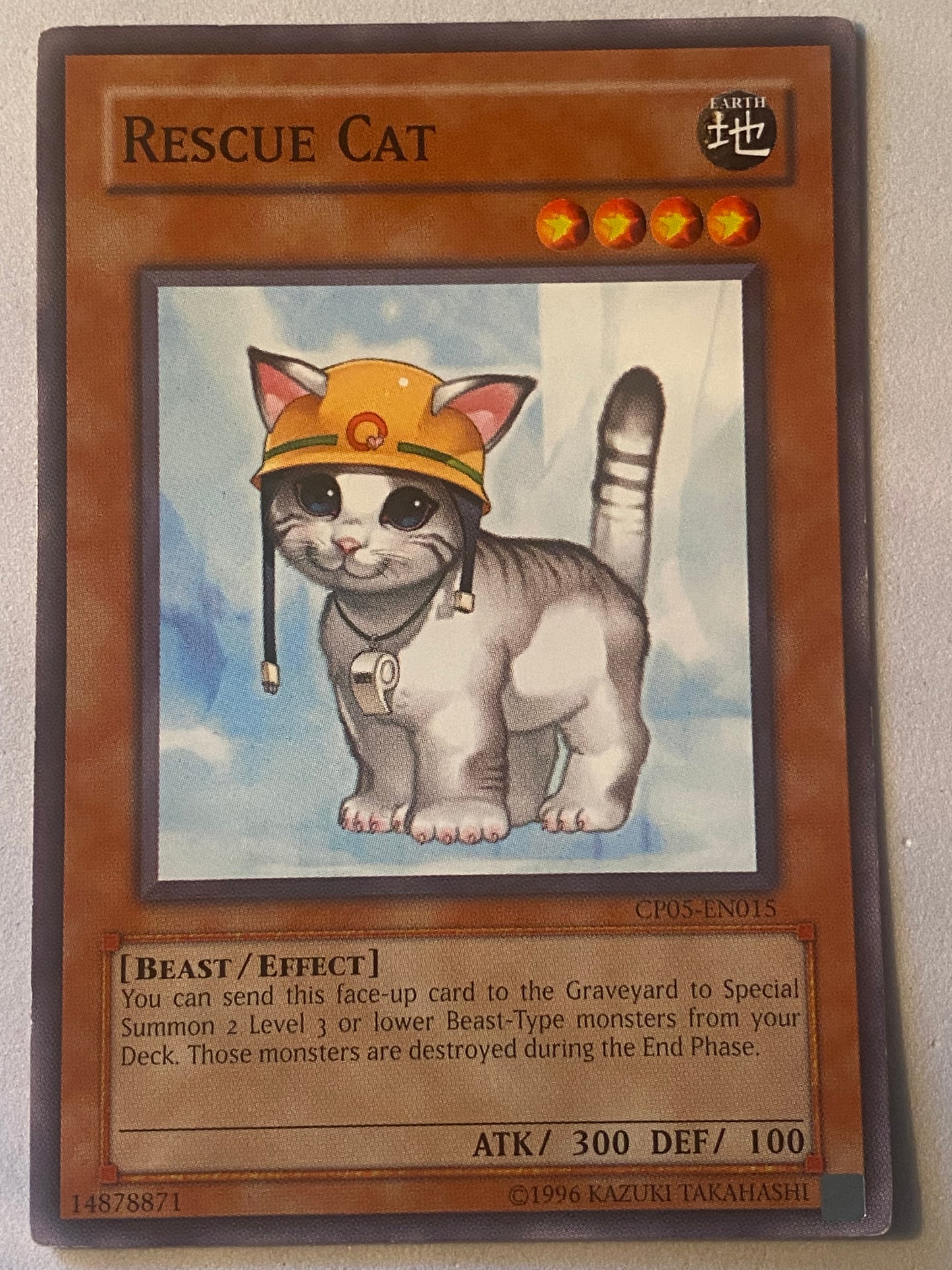 Rescue Cat CP05-EN015
