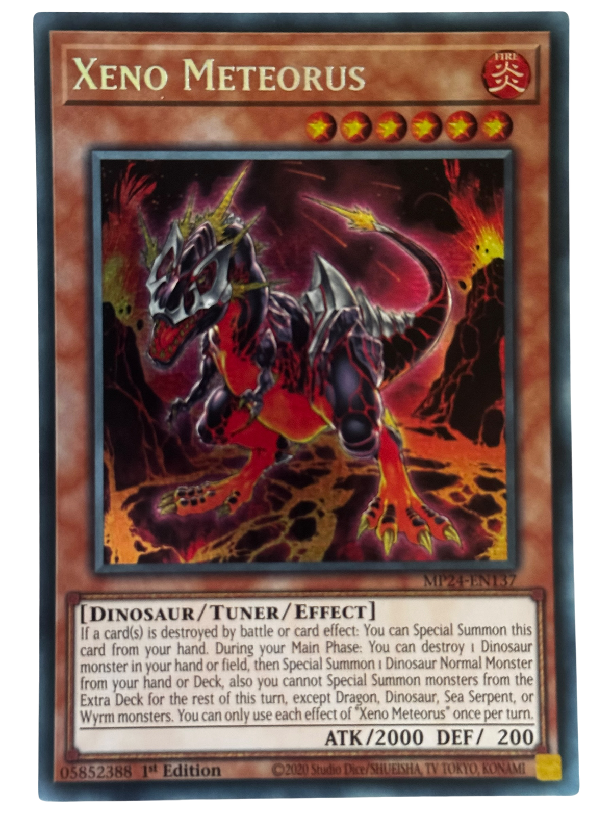 Xeno Meteorus MP24-EN137