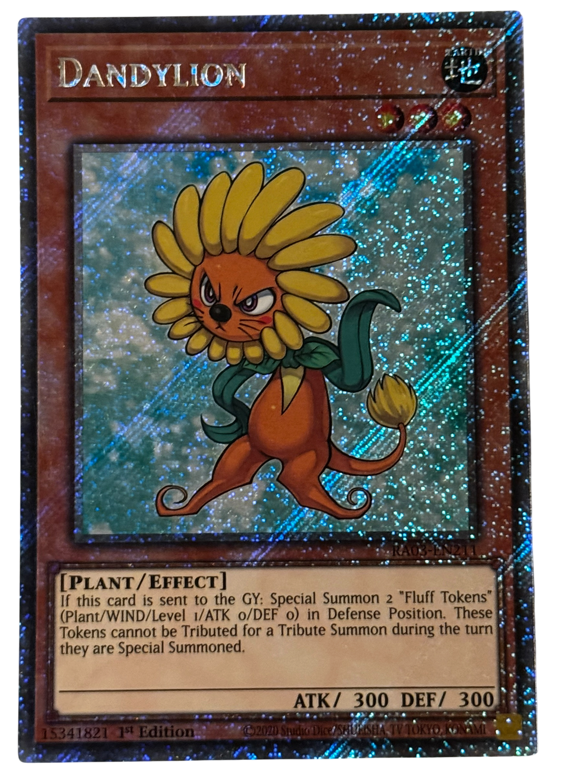 Dandylion RA03-EN211