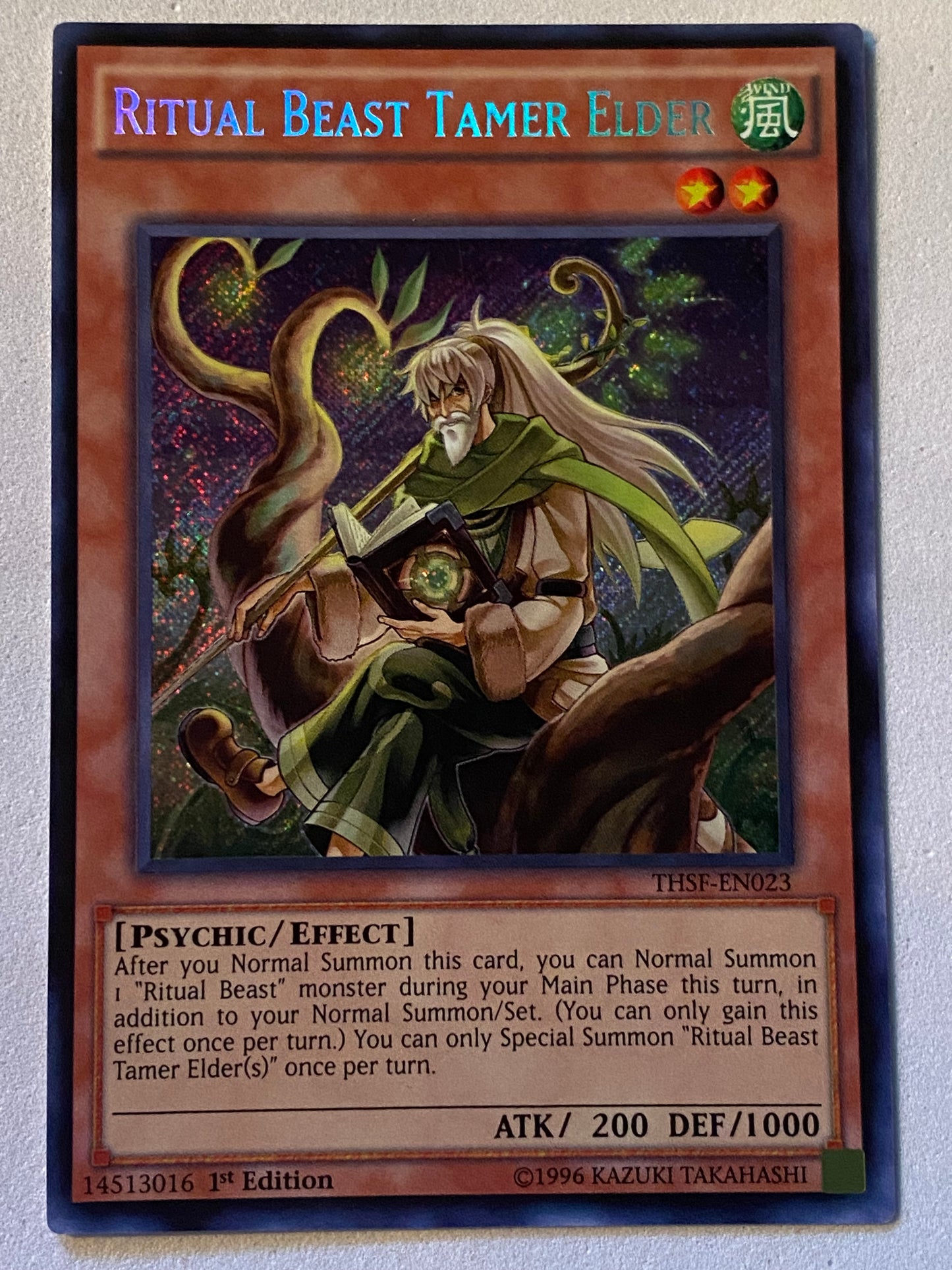 Ritual Beast Tamer Elder THSF-EN023