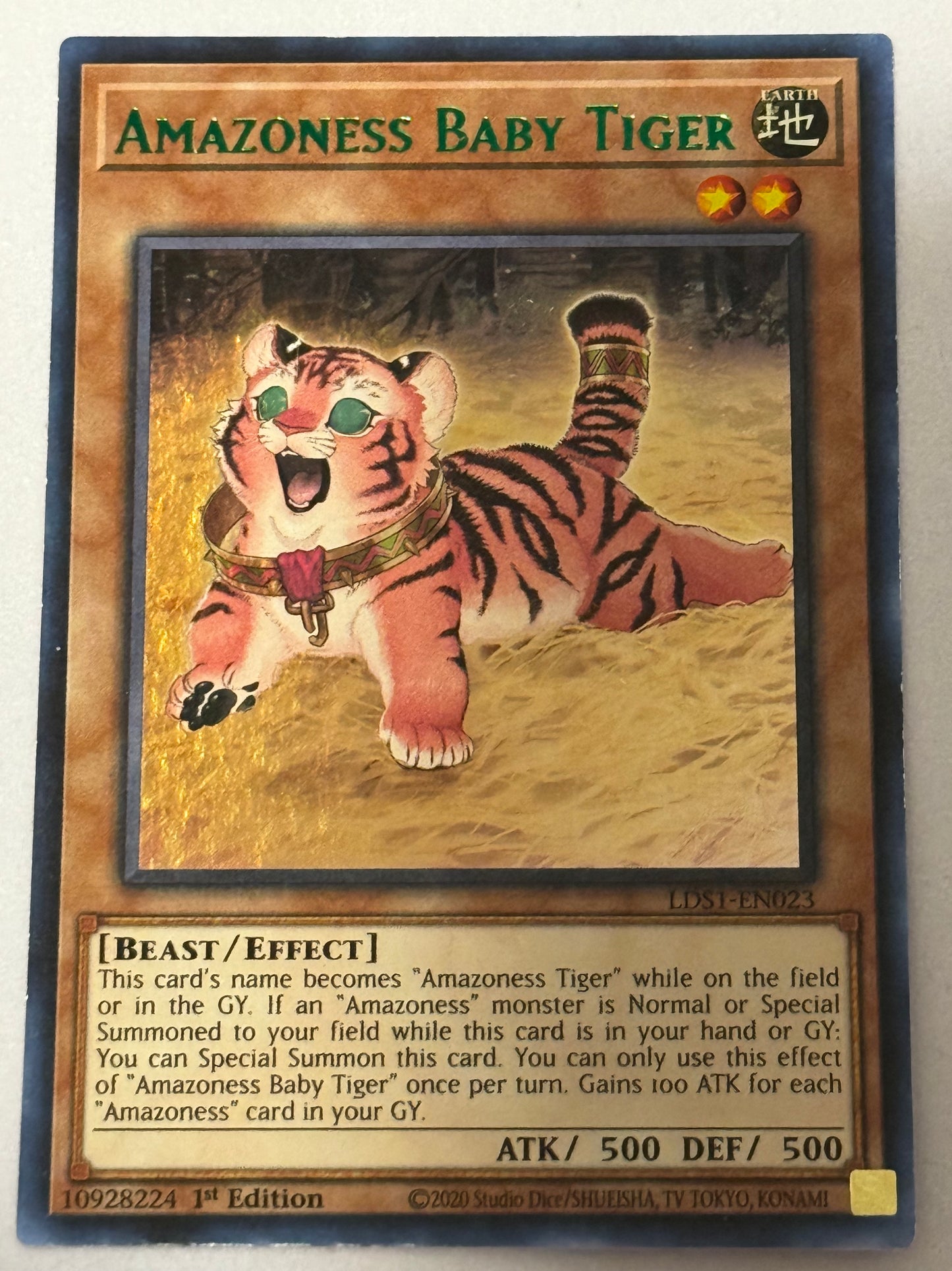 Amazoness Baby Tiger LDS1-EN023