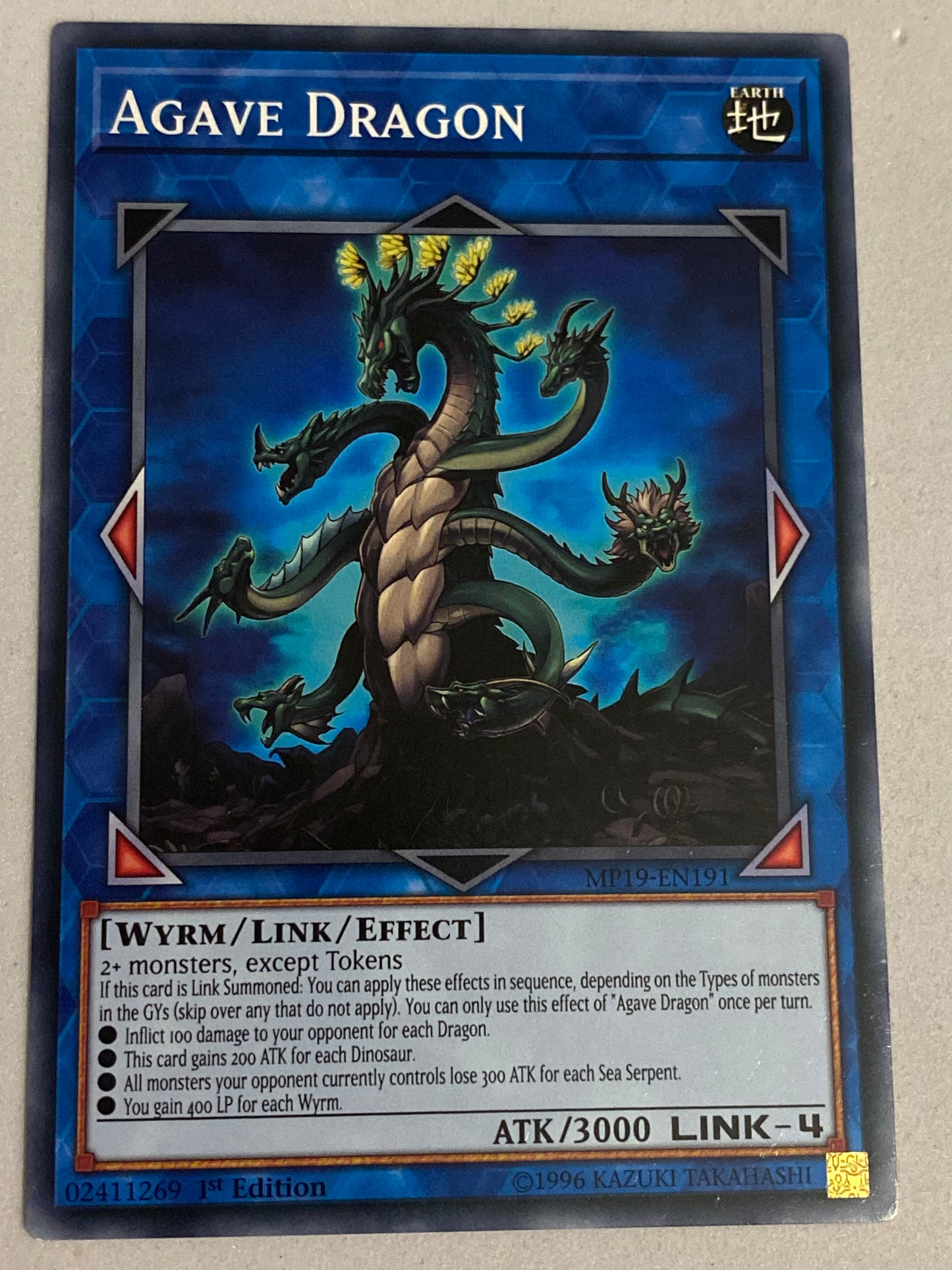 Agave Dragon MP19-EN191