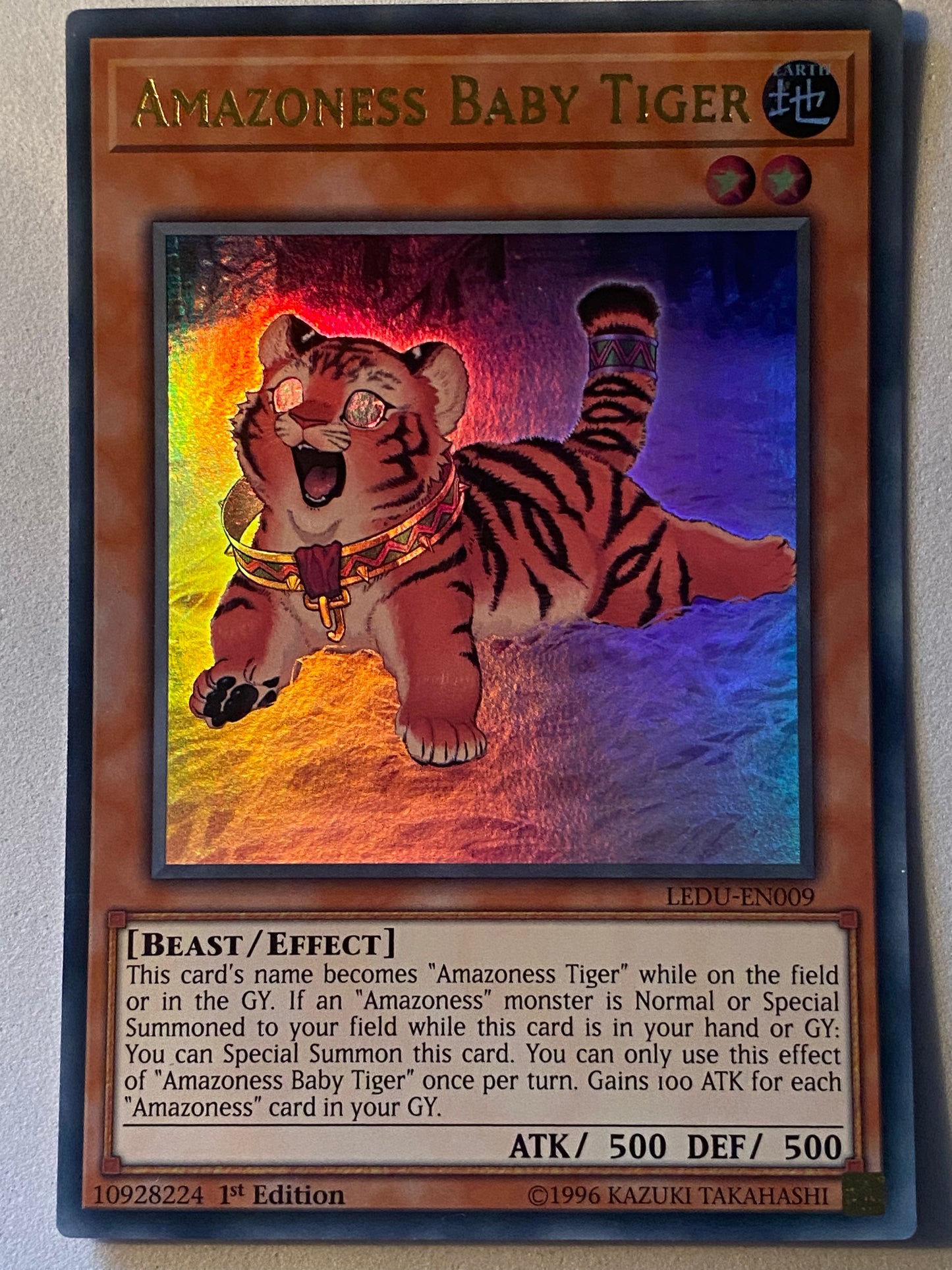 Amazoness Baby Tiger LEDU-EN009