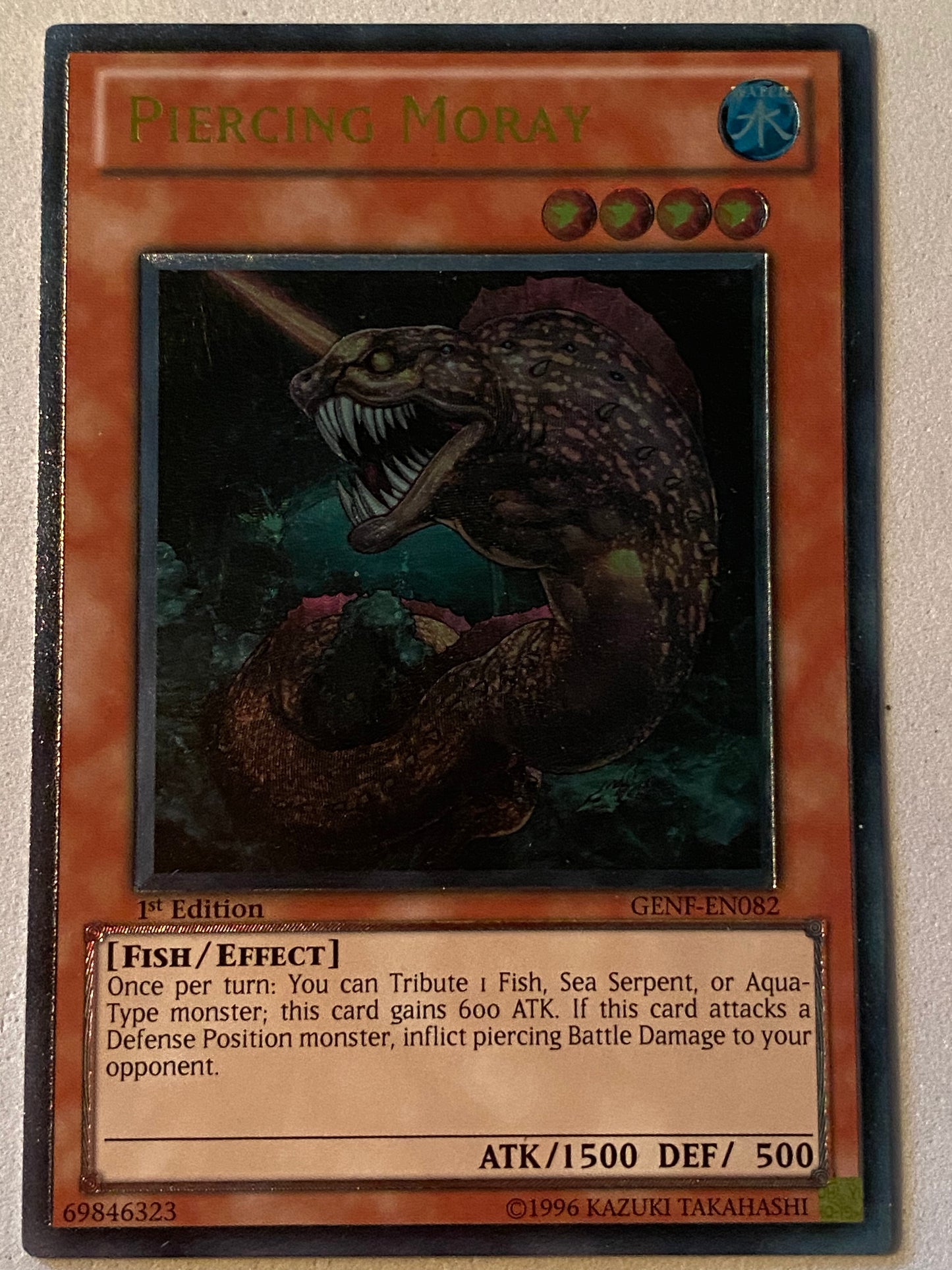 Piercing Moray GENF-EN082