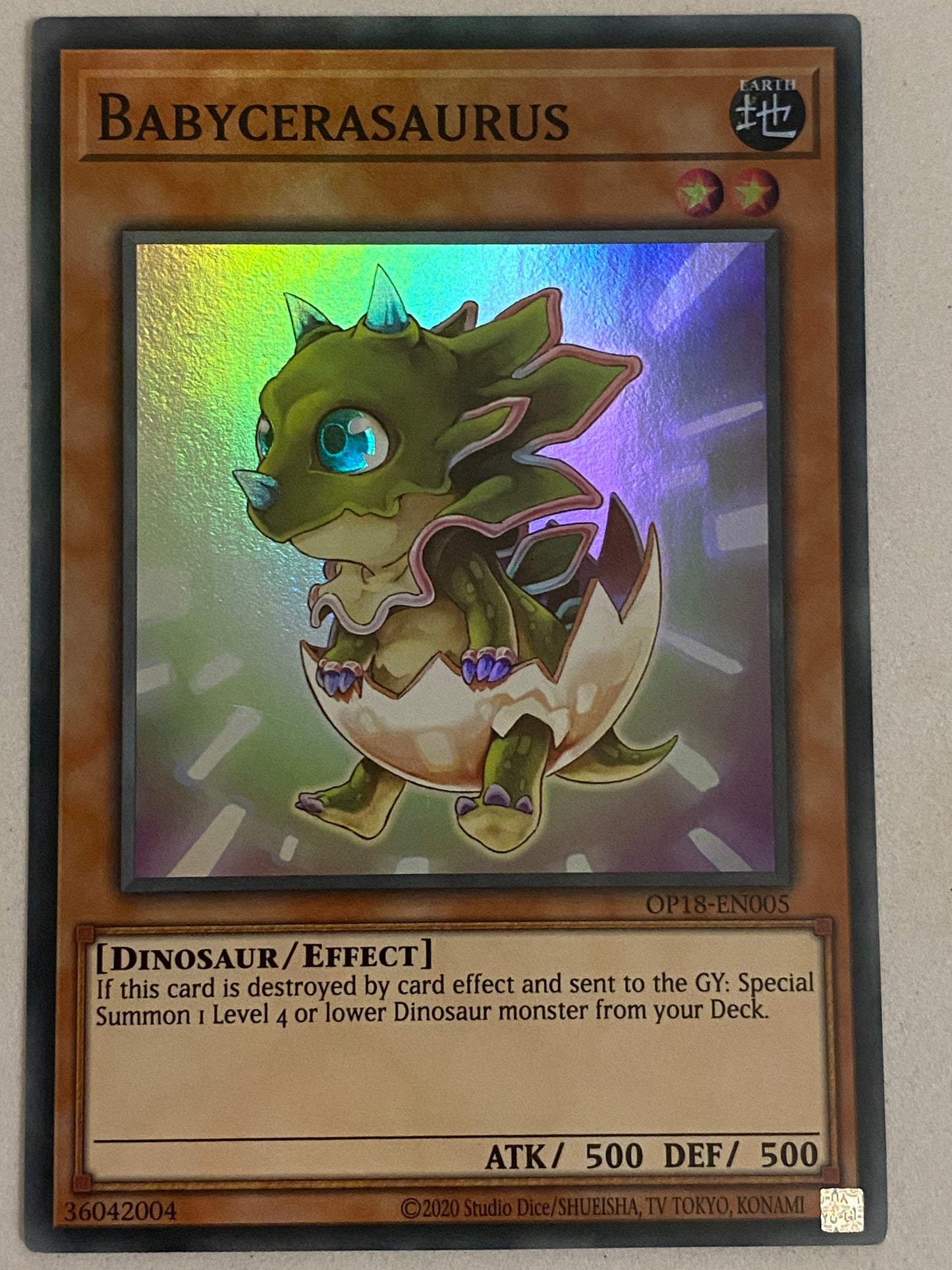 Babycerasaurus OP18-EN005
