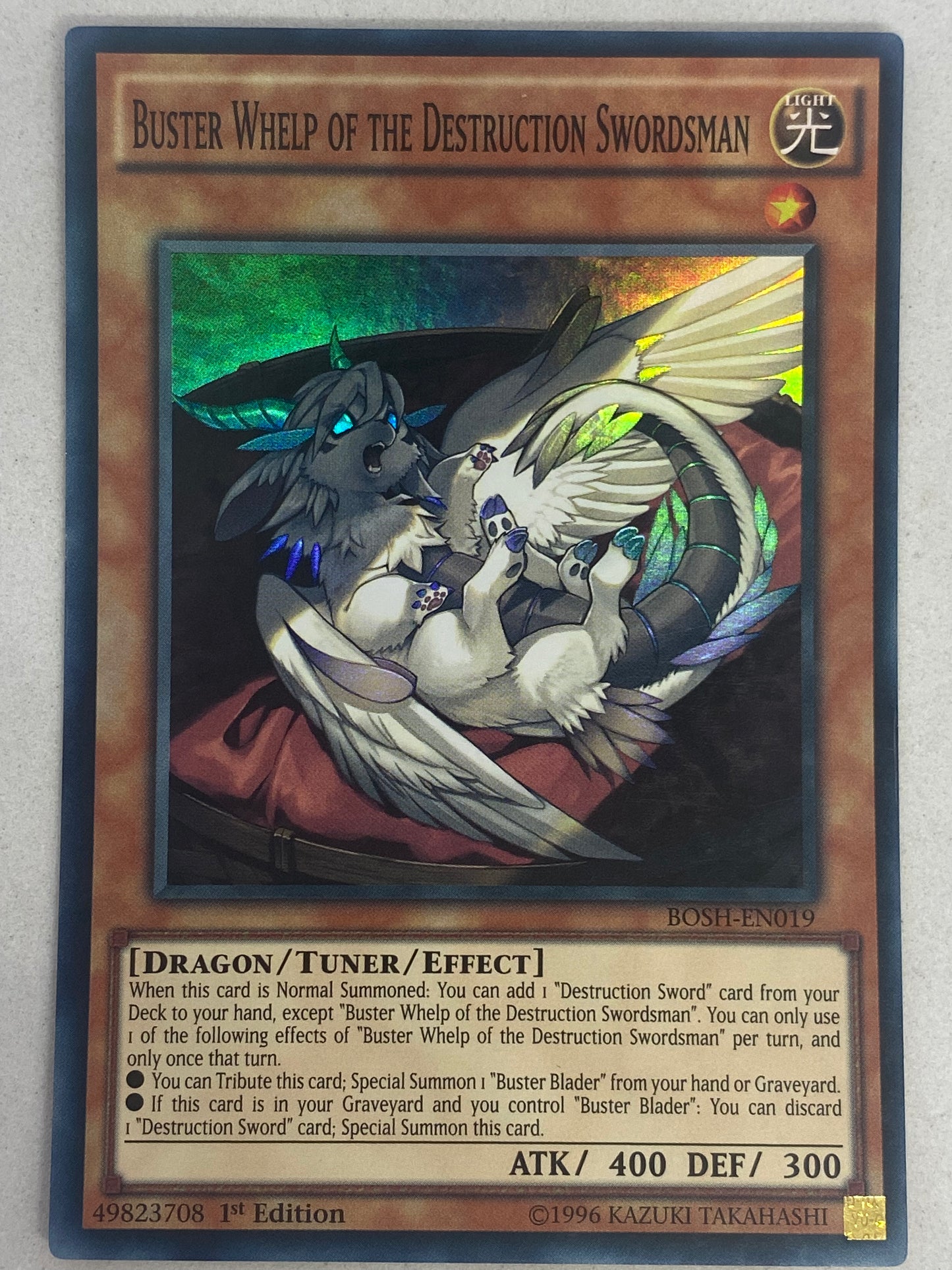 Buster Whelp Of The Destruction Swordsman BOSH-EN019