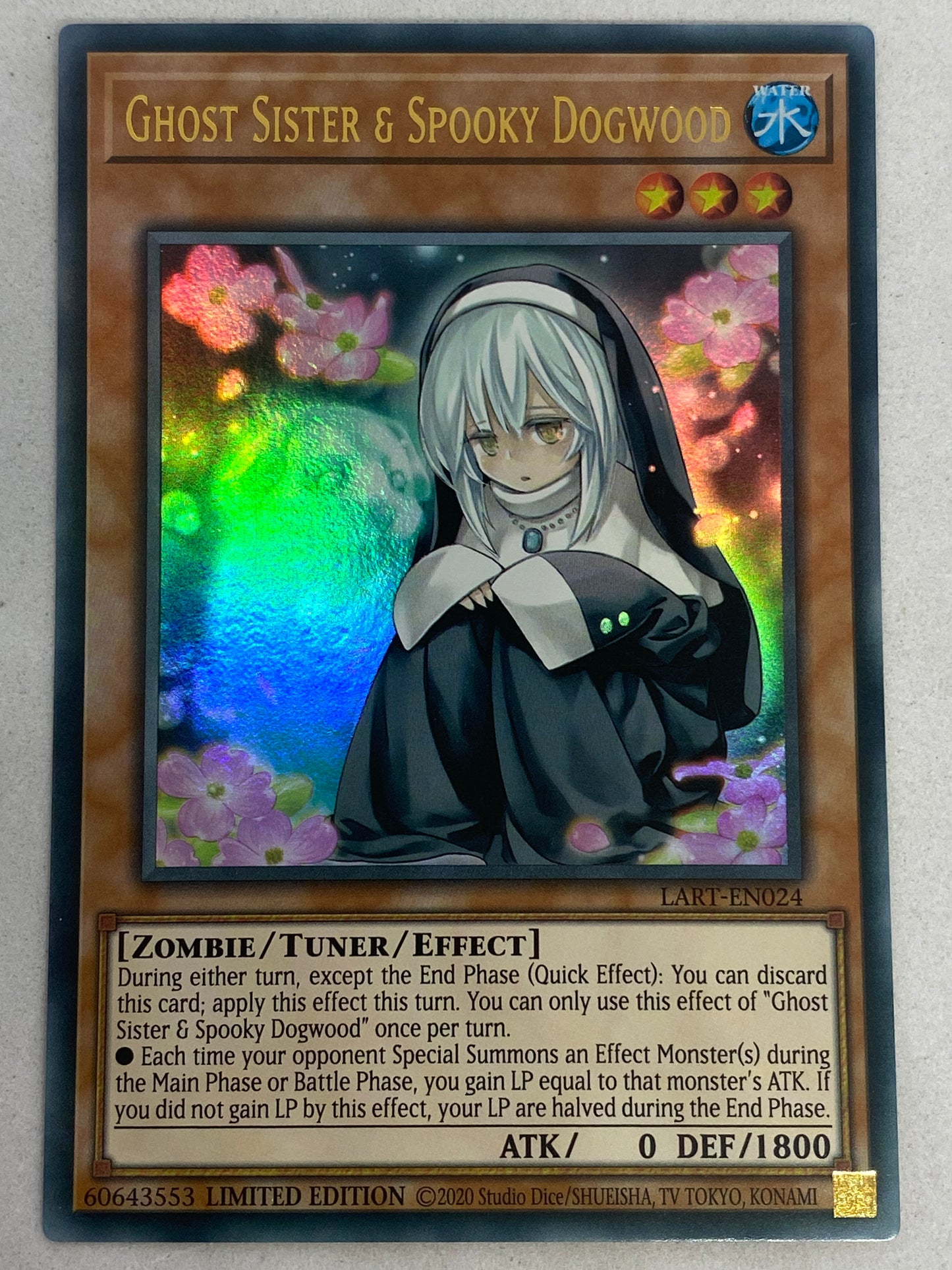 Ghost Sister & Spooky Dogwood LART-EN024