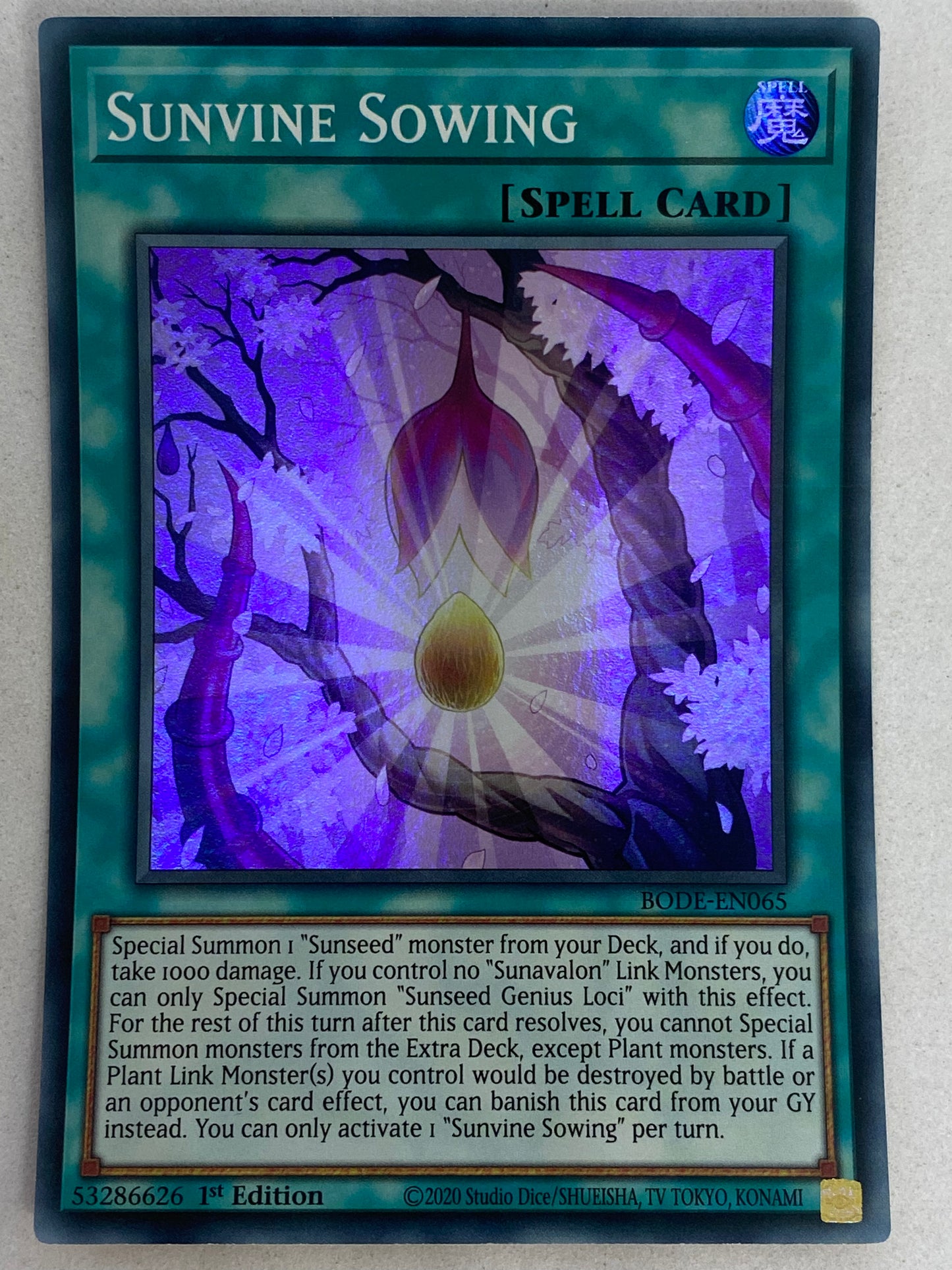 Sunvine Sowing BODE-EN065