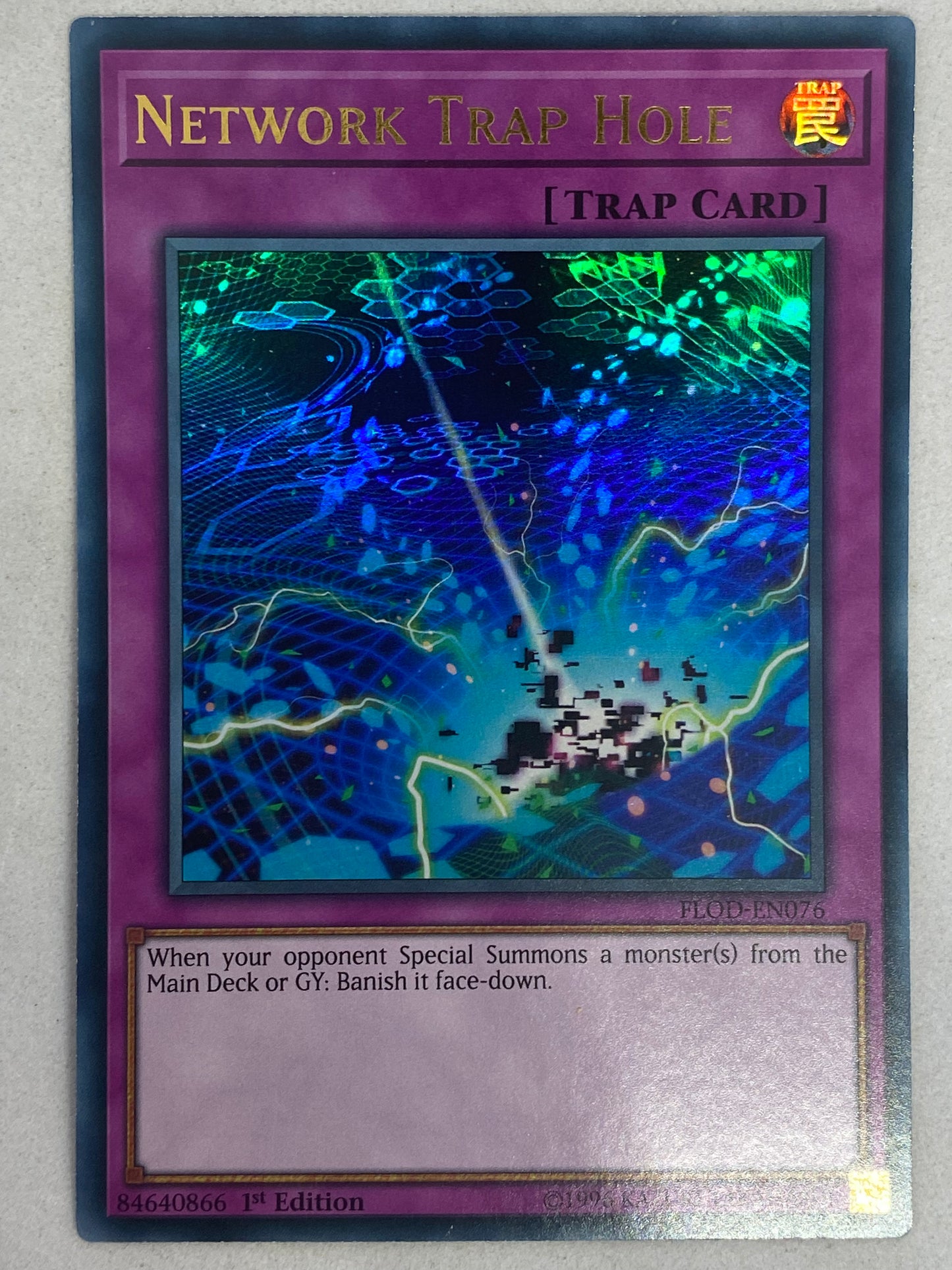 Network Trap Hole FLOD-EN076