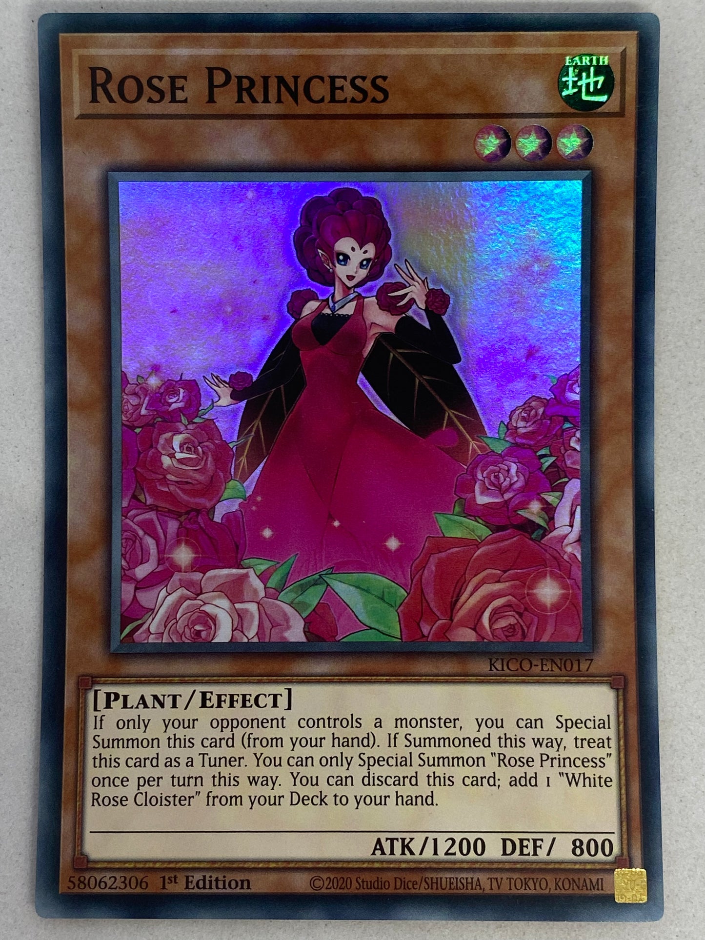 Rose Princess KICO-EN017