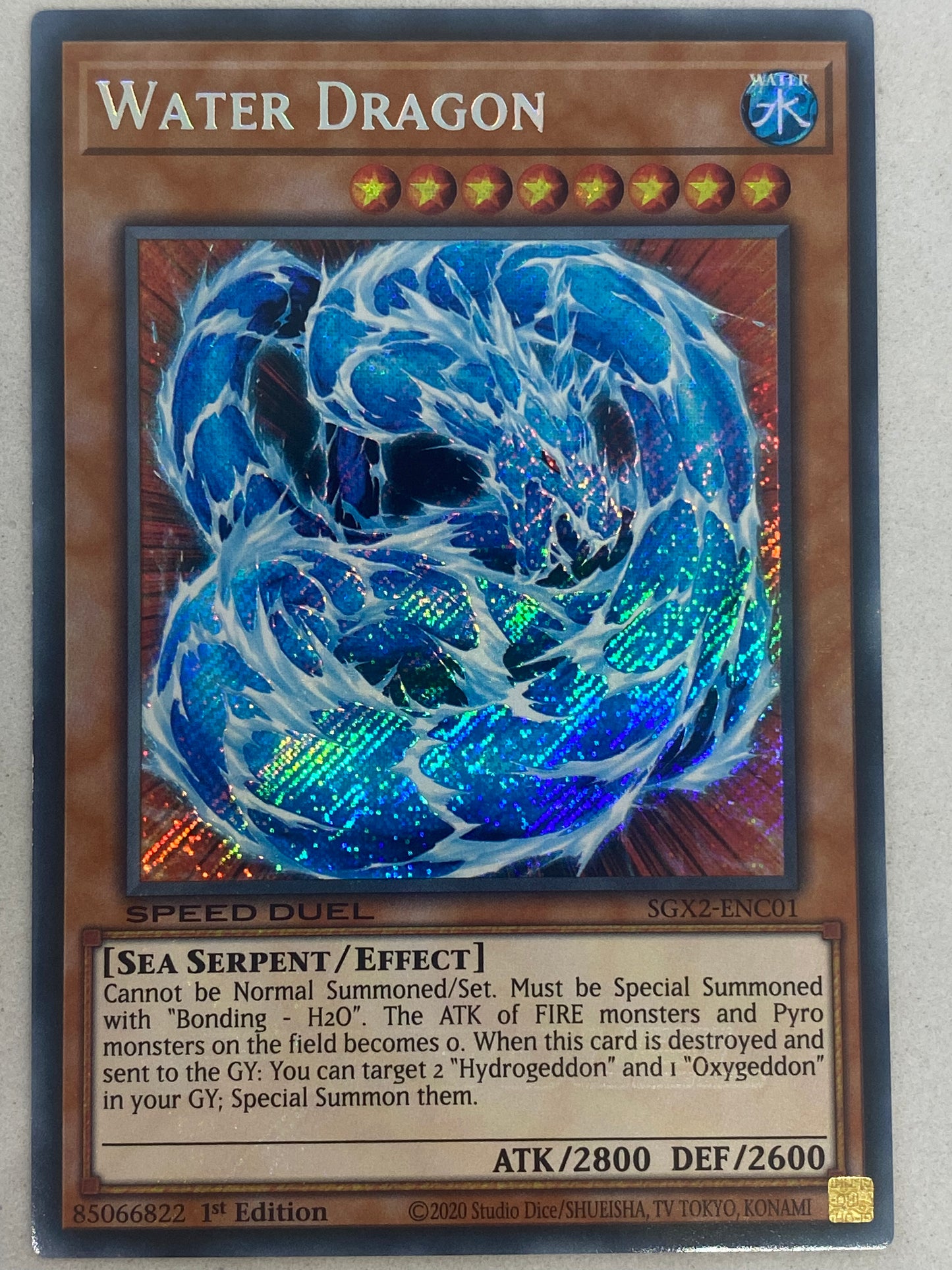 Water Dragon SGX2-ENC01