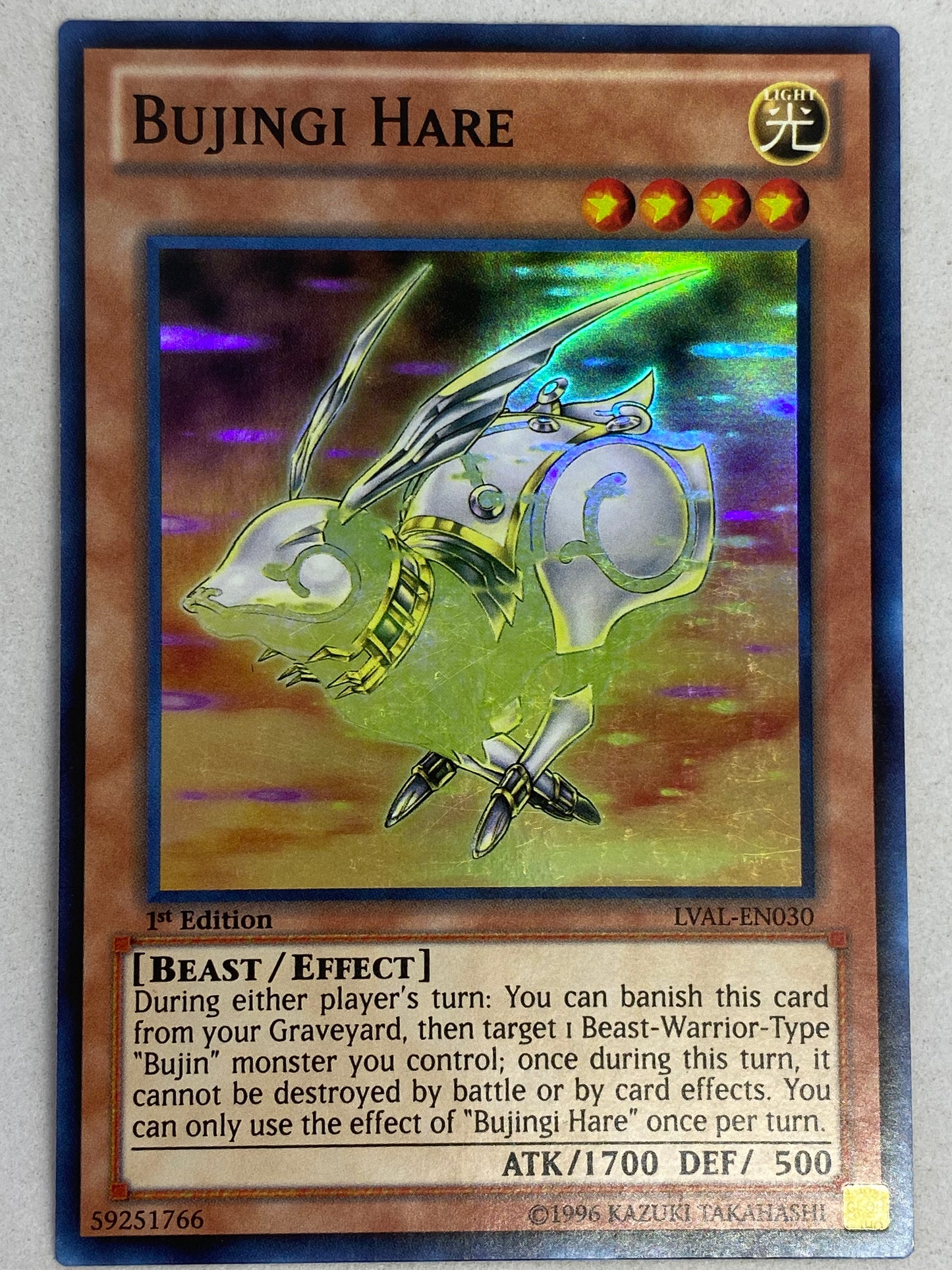 Bujingi Hare LVAL-EN030