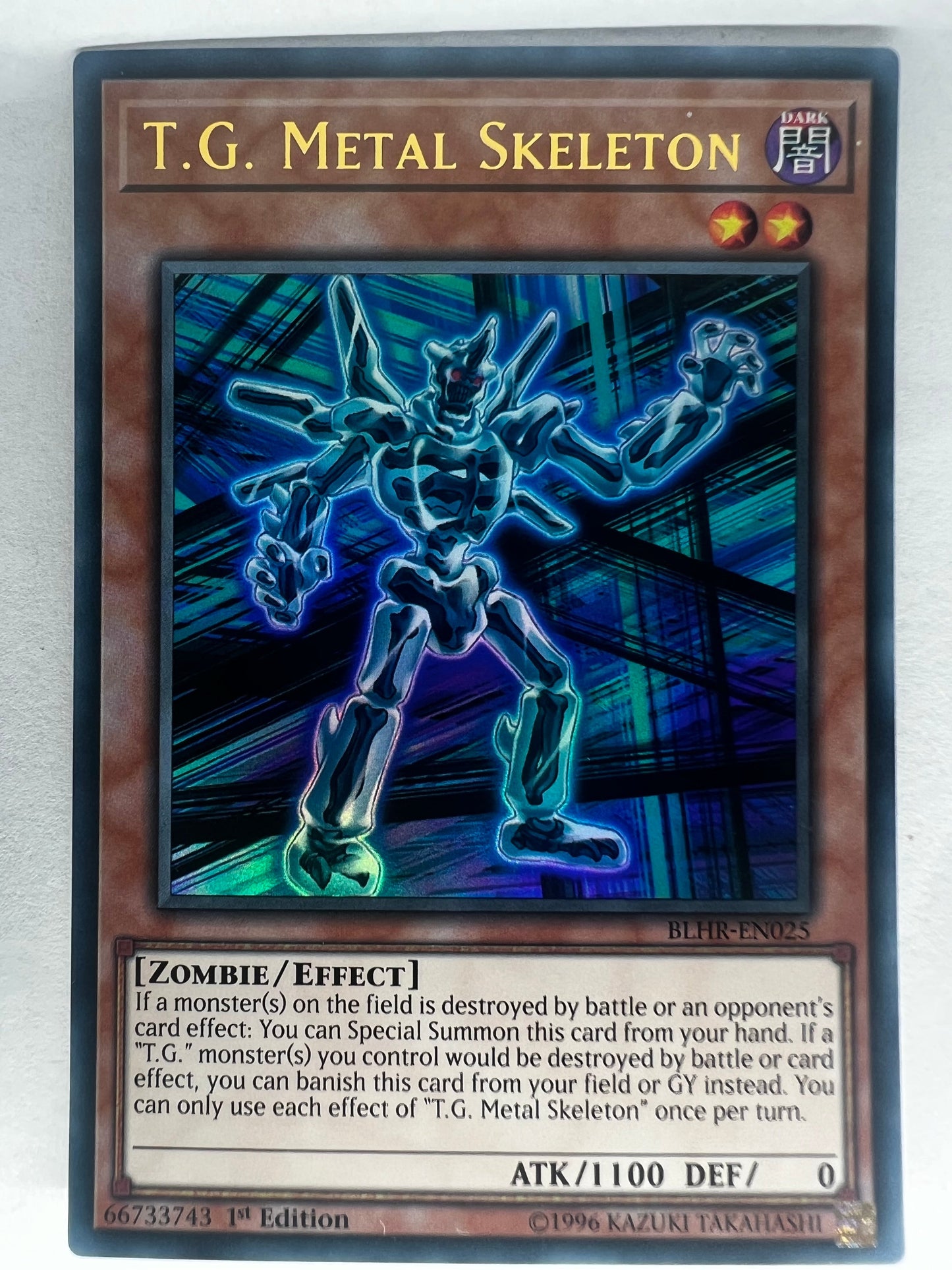 T.G. Metal Skeleton BLHR-EN025