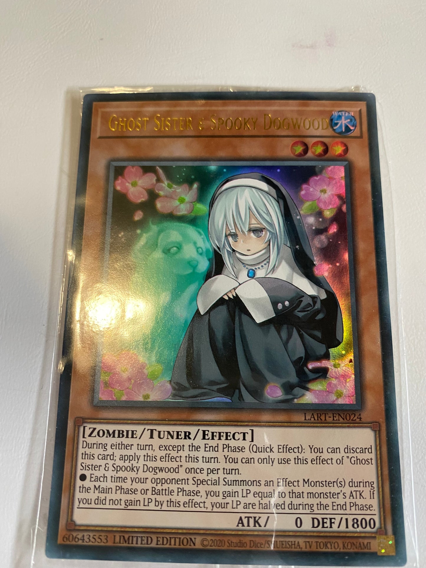 Ghost Sister & Spooky Dogwood LART-EN024