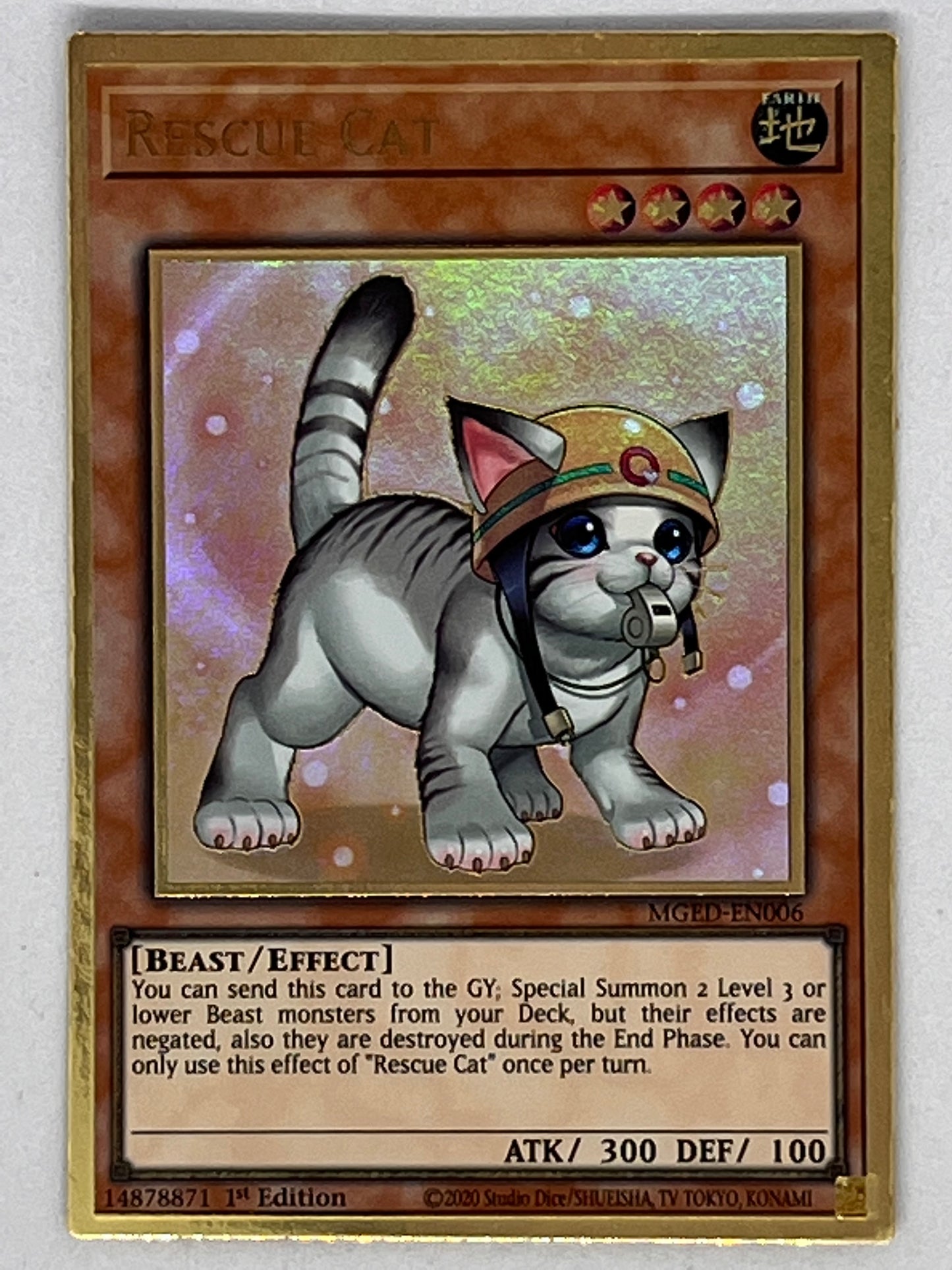 Rescue Cat MAGO-EN006