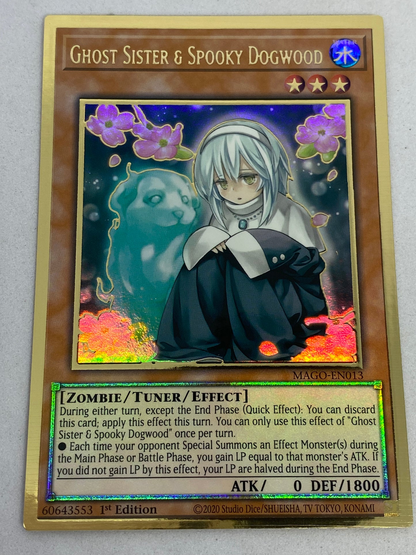 Ghost Sister & Spooky Dogwood MAGO-EN013