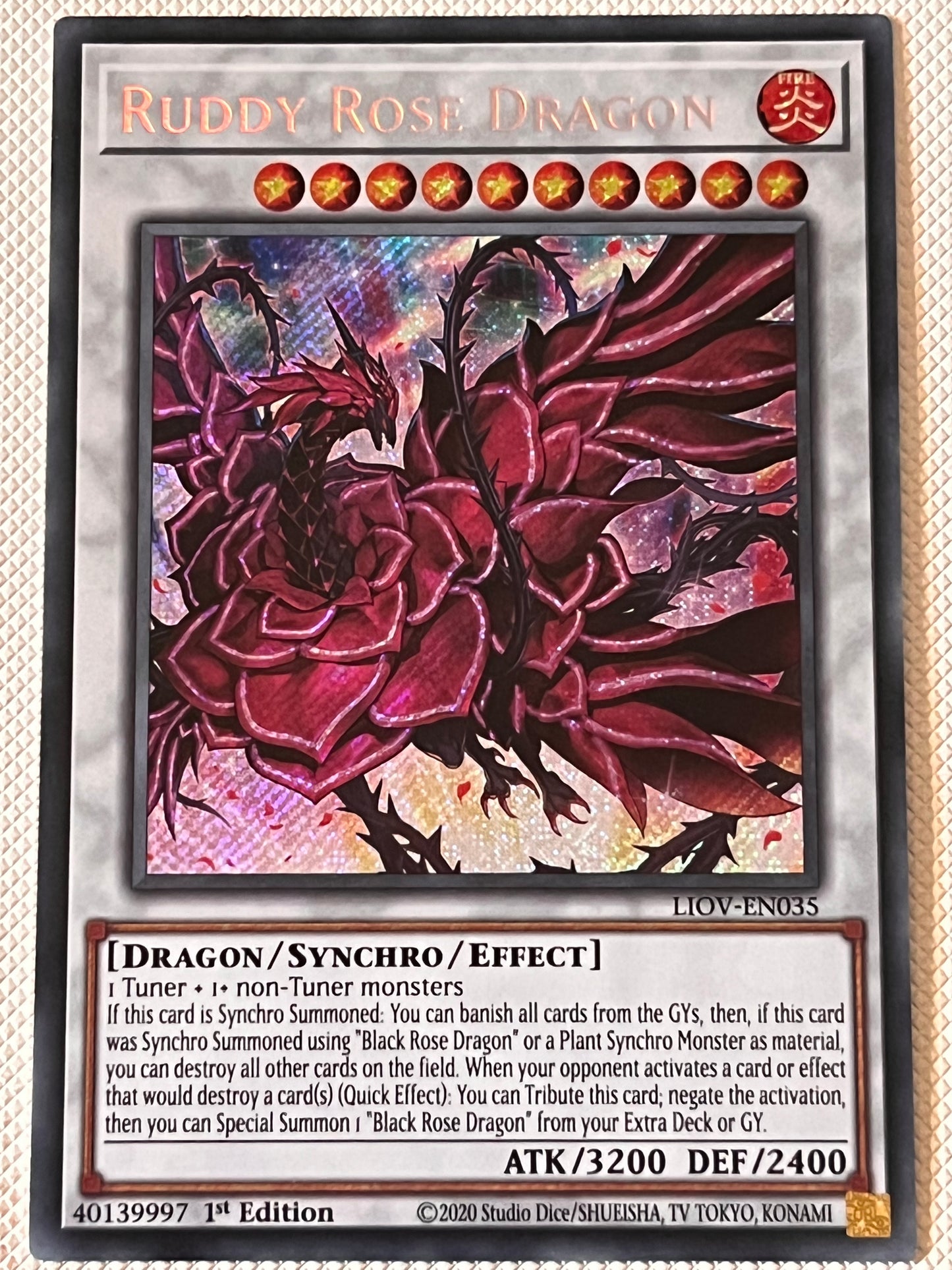 Ruddy Rose Dragon LIOV-EN035