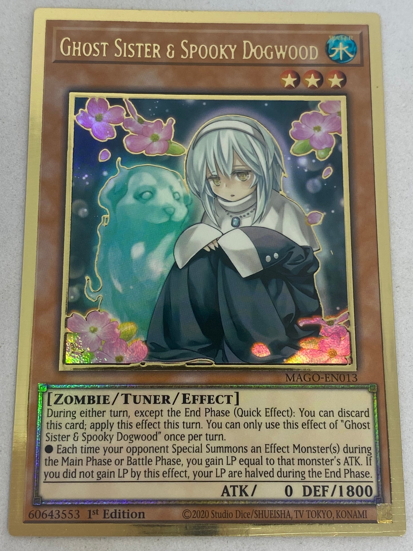 Ghost Sister & Spooky Dogwood MAGO-EN013