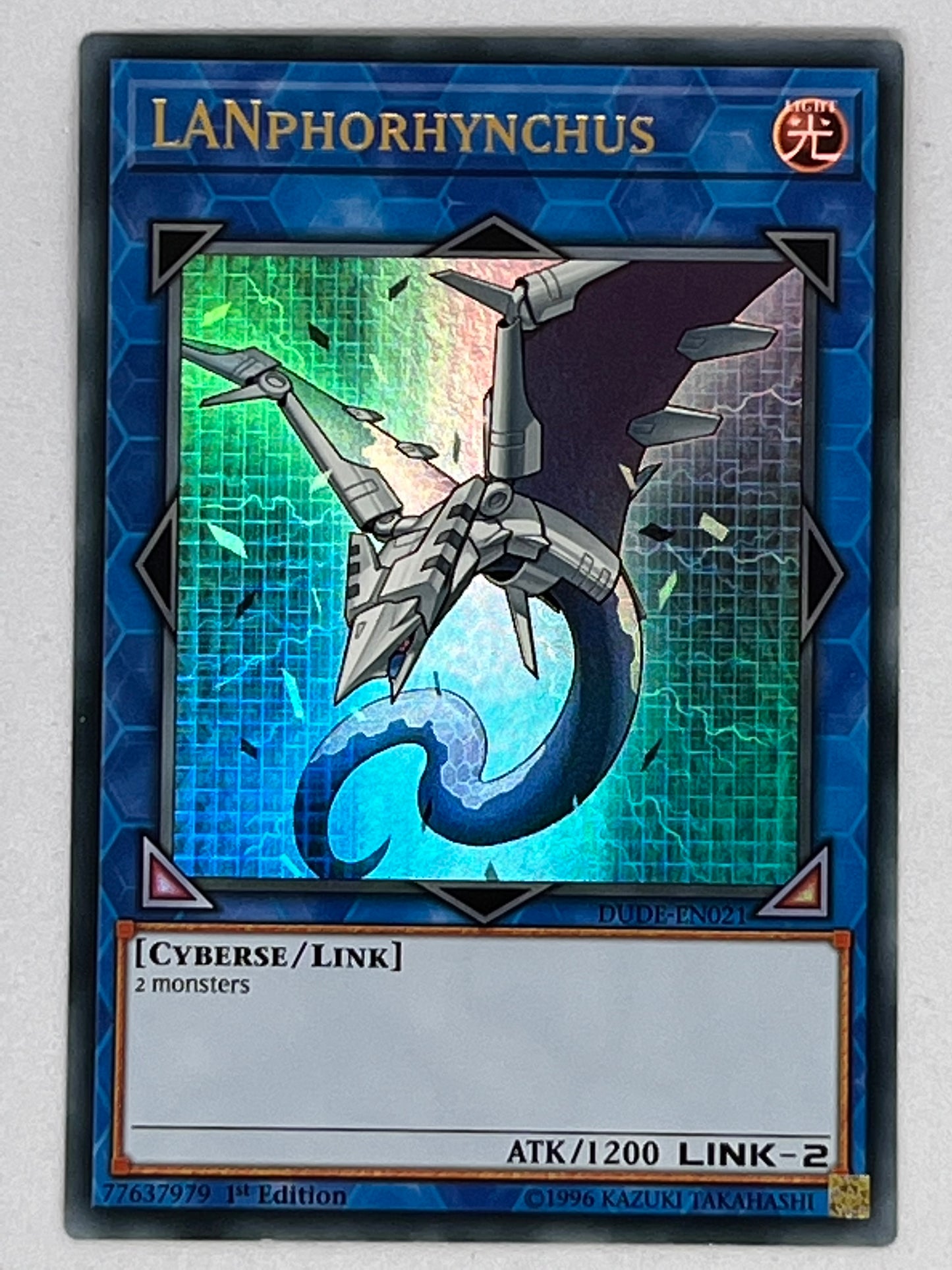 Lanphorhynchus DUDE-EN021