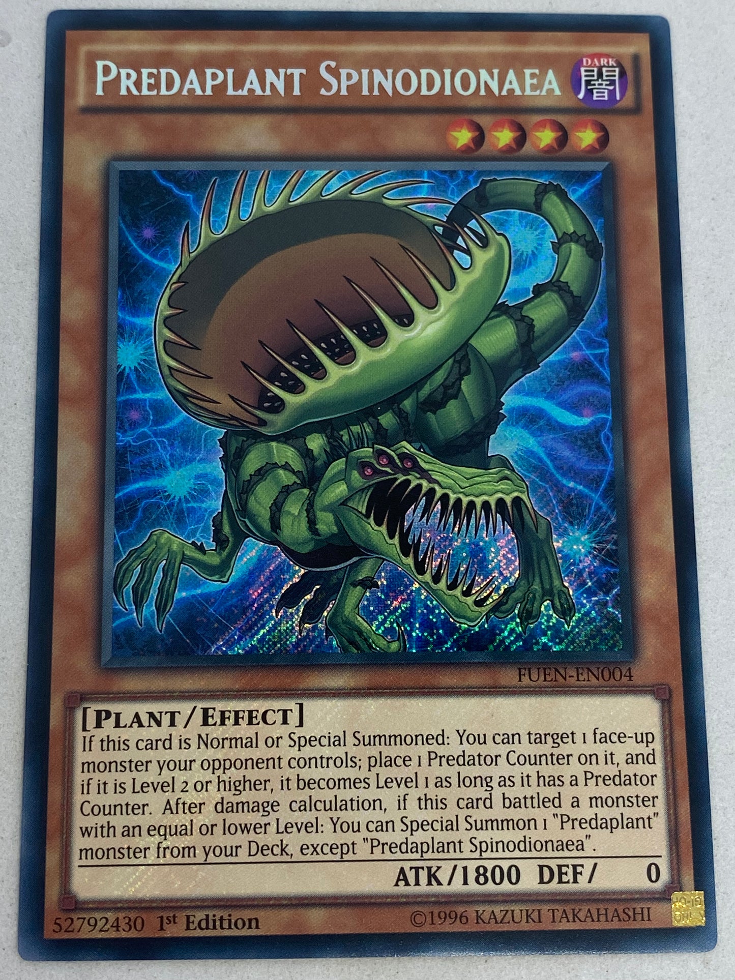 Predaplant Spinodionaea FUEN-EN004