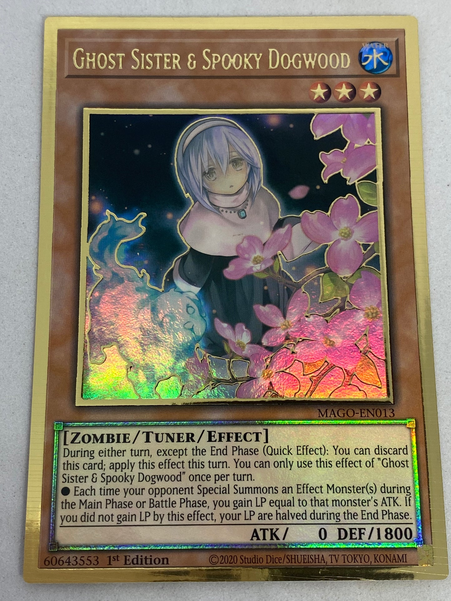 Ghost Sister & Spooky Dogwood MAGO-EN013