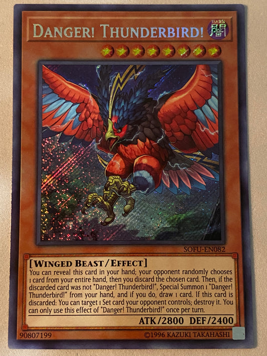 Danger! Thunderbird! SOFU-EN082
