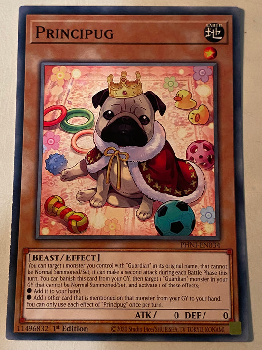 Principug PHNI-EN034