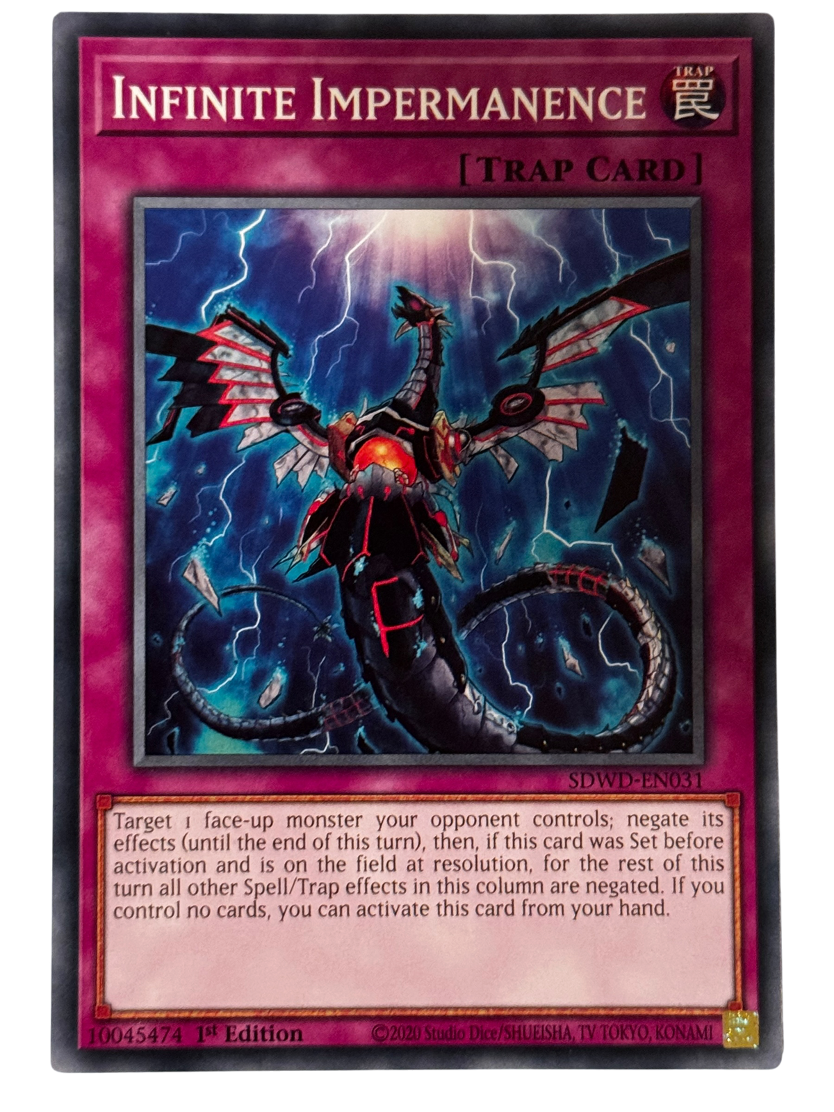 Infinite Impermanence SDWD-EN031