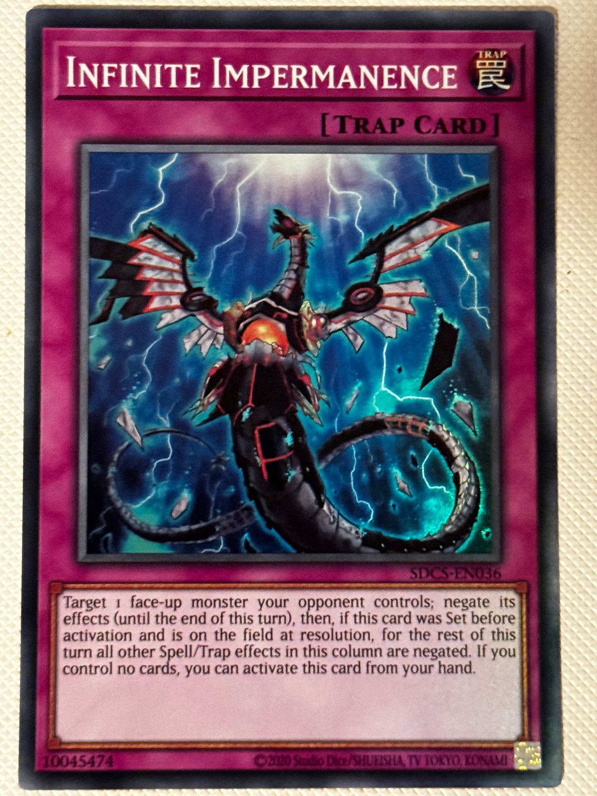 Infinite Impermanence SDCS-EN036