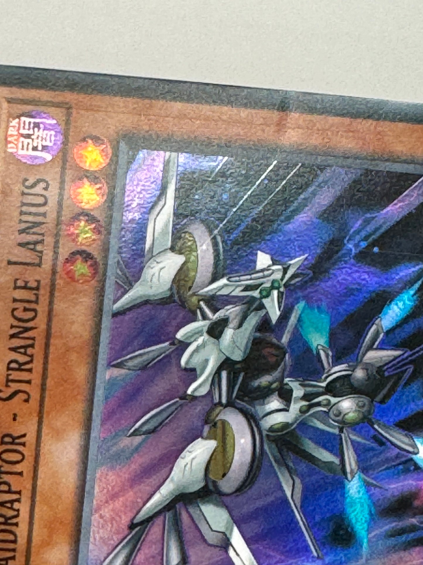 Raidraptor - Strangle Lanius PHRA-EN005