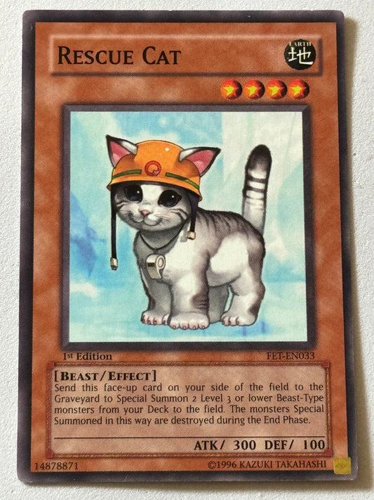 Rescue Cat FET-EN033