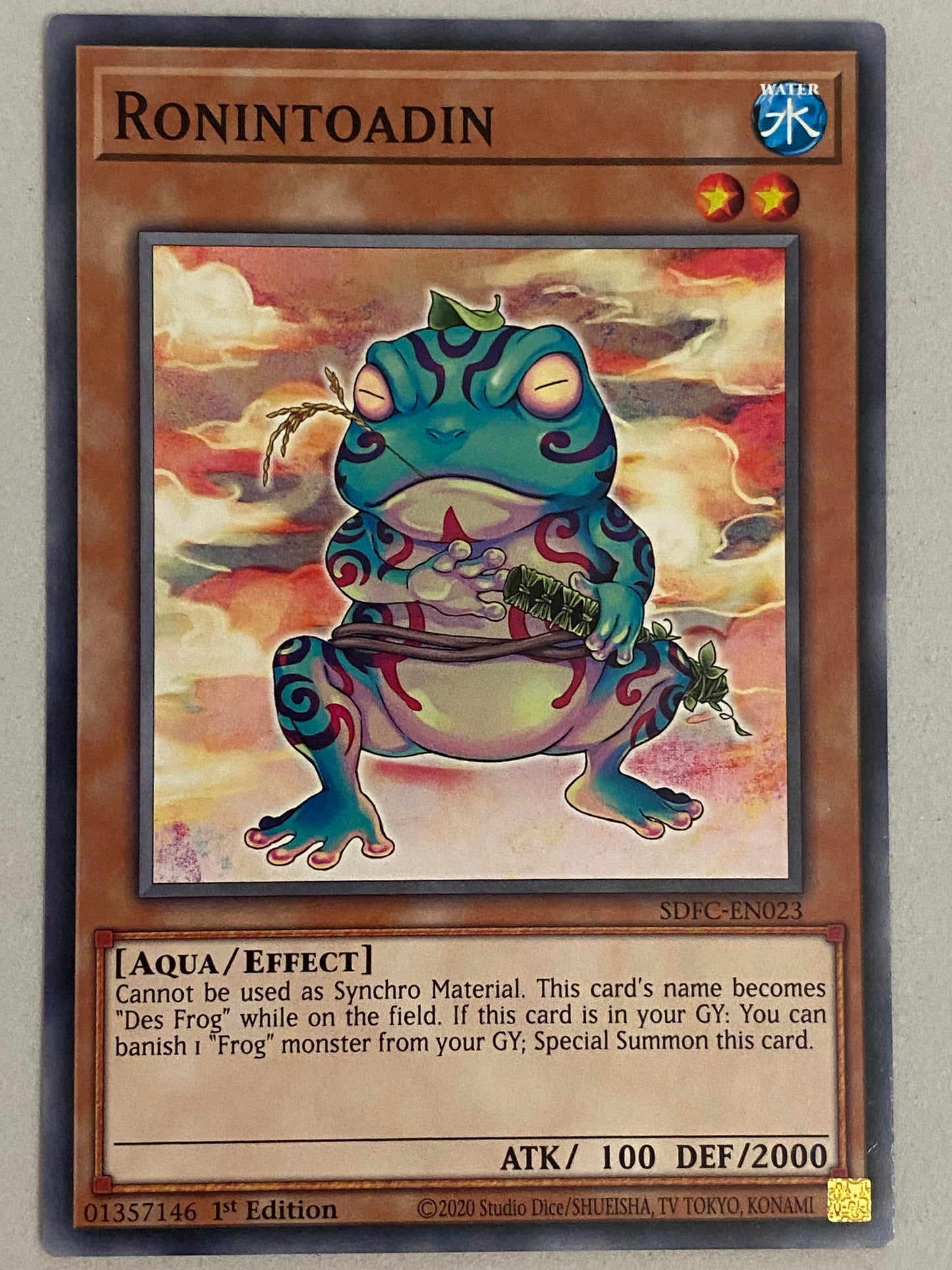Ronintoadin SDFC-EN023