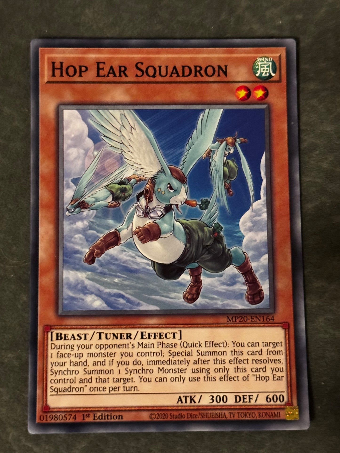 Hop Ear Squadron MP20-EN164