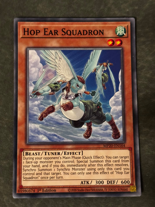 Hop Ear Squadron MP20-EN164