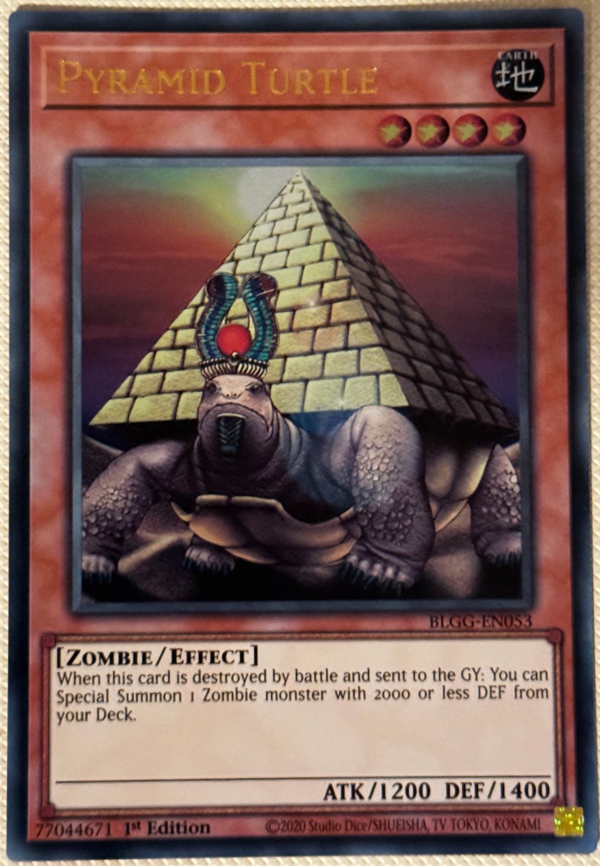 Pyramid Turtle BLGG-EN053