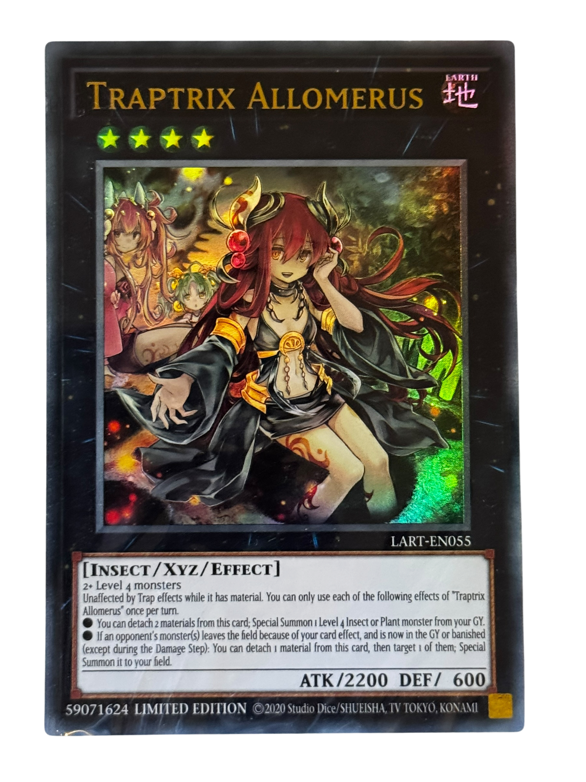 Traptrix Allomerus LART-EN055