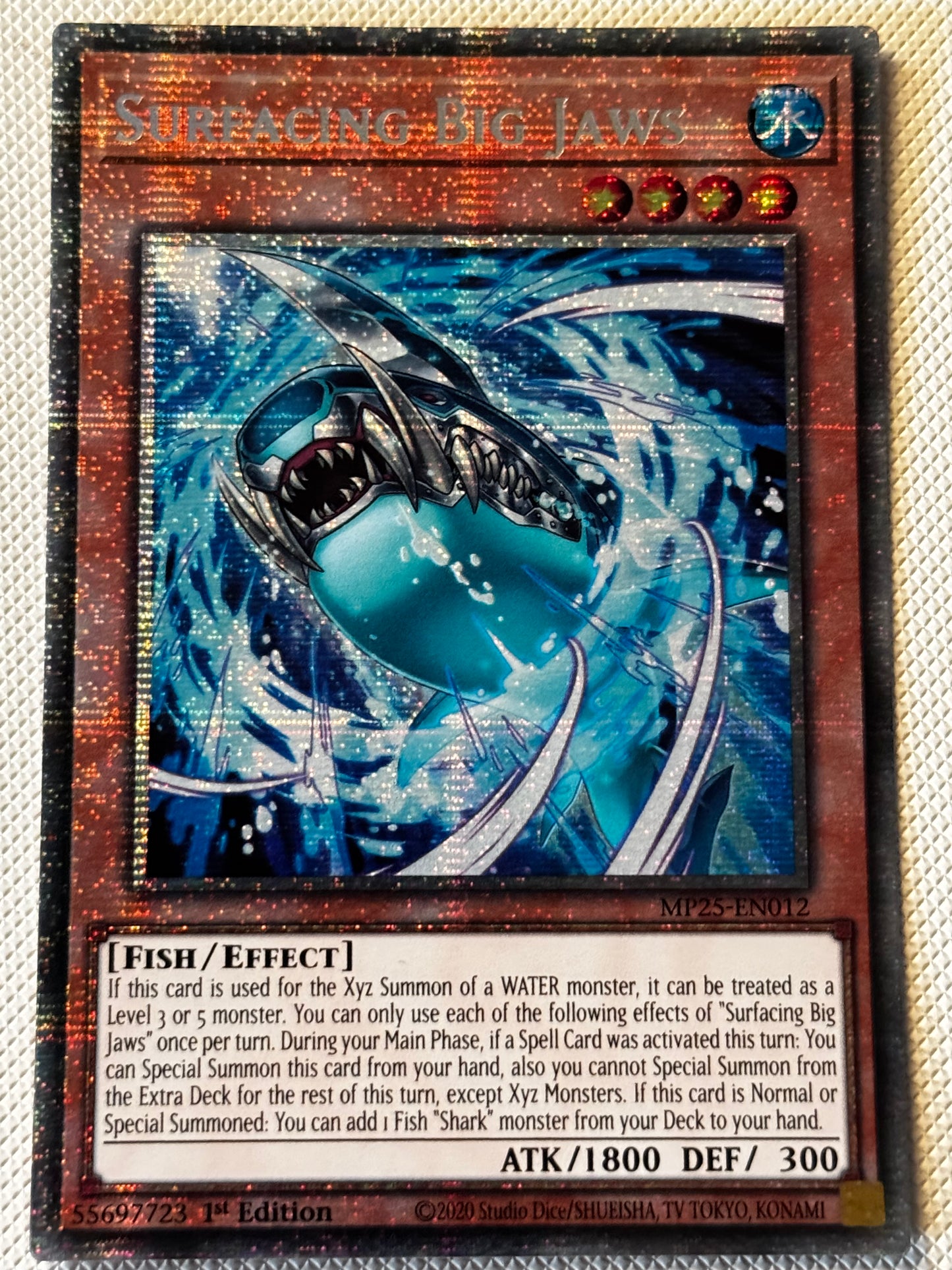 Surfacing Big Jaws MP25-EN012