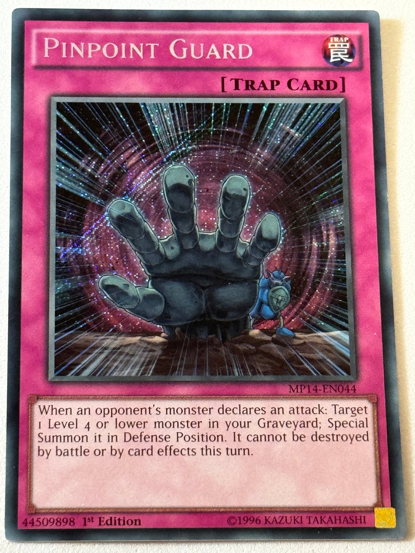 Pinpoint Guard MP14-EN044