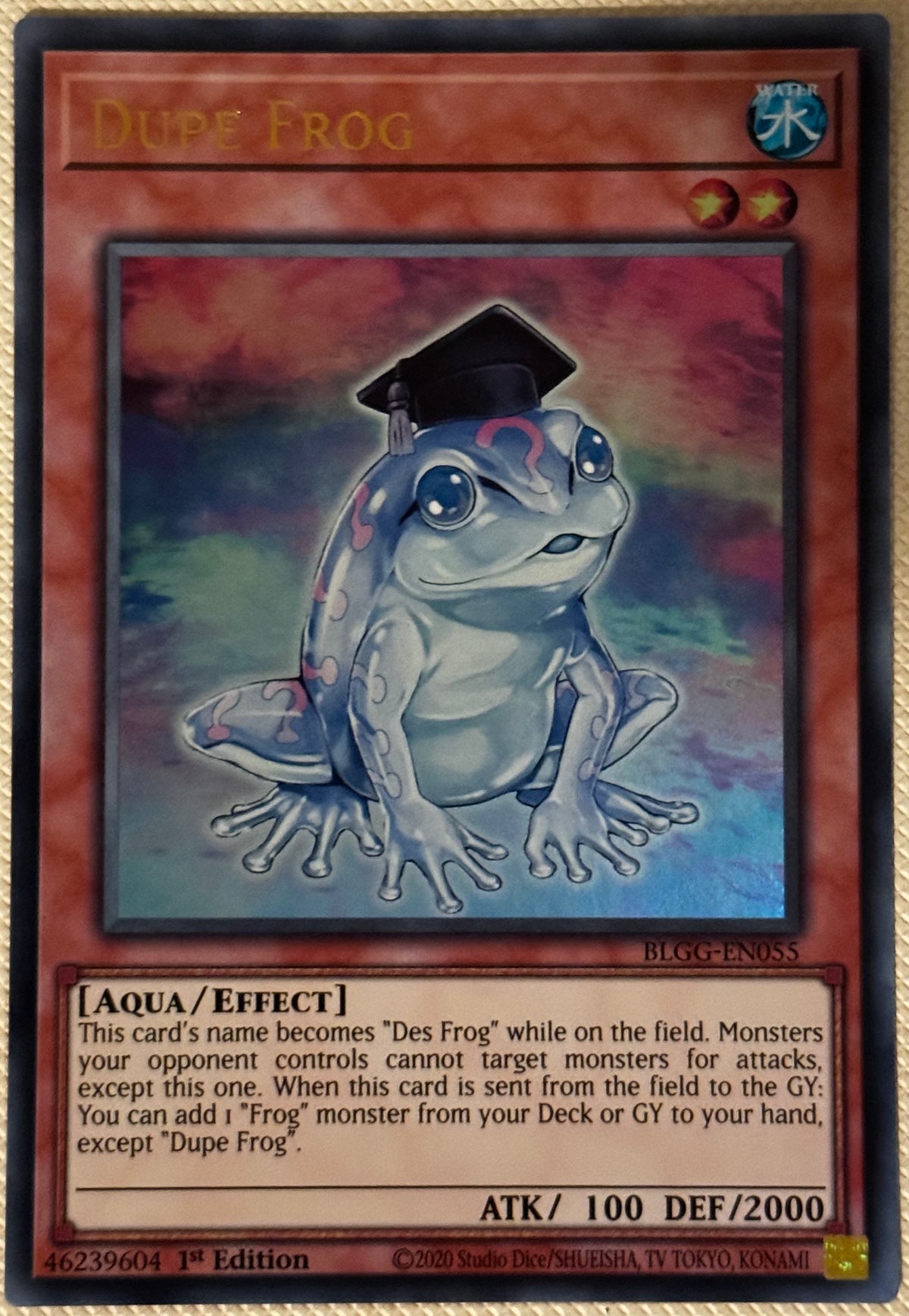 Dupe Frog BLGG-EN055