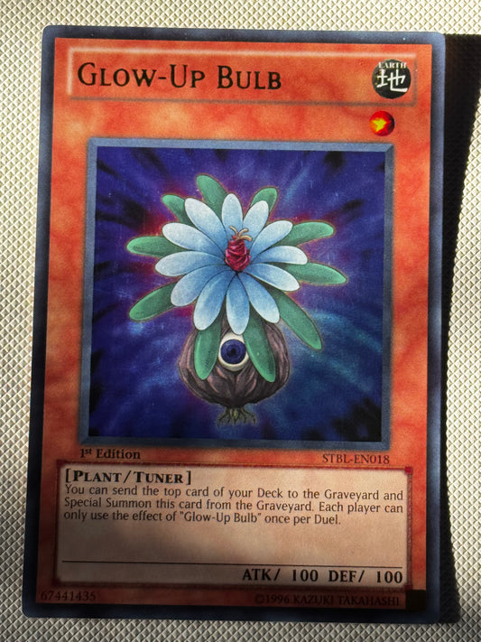 Glow-Up Bulb STBL-EN018