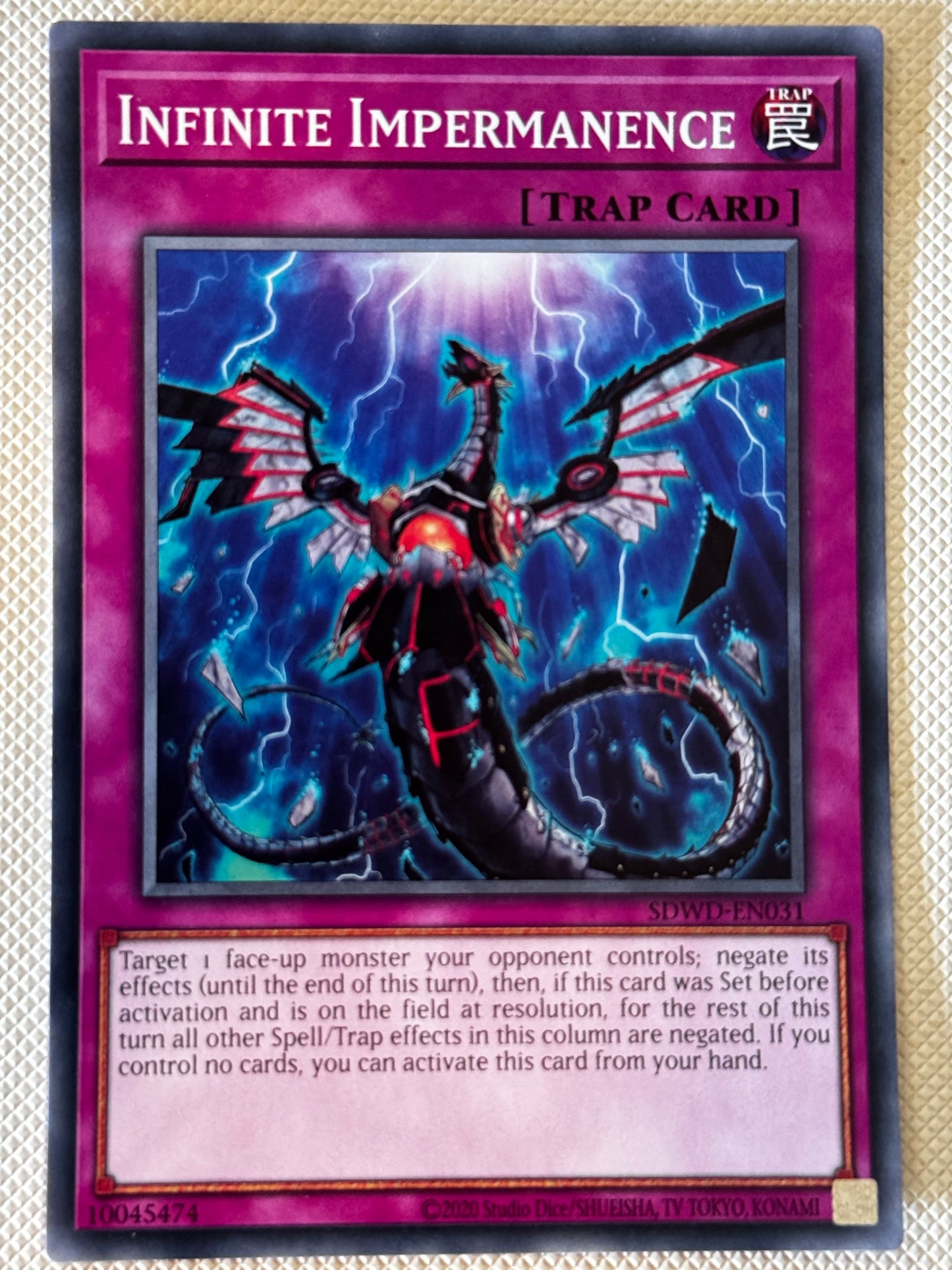 Infinite Impermanence SDWD-EN031