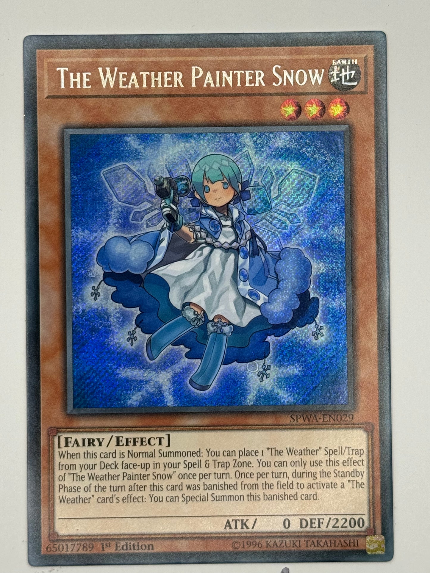 The Weather Painter Snow SPWA-EN029