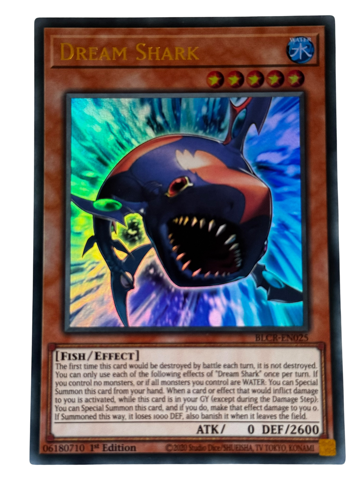 Dream Shark BLCR-EN025