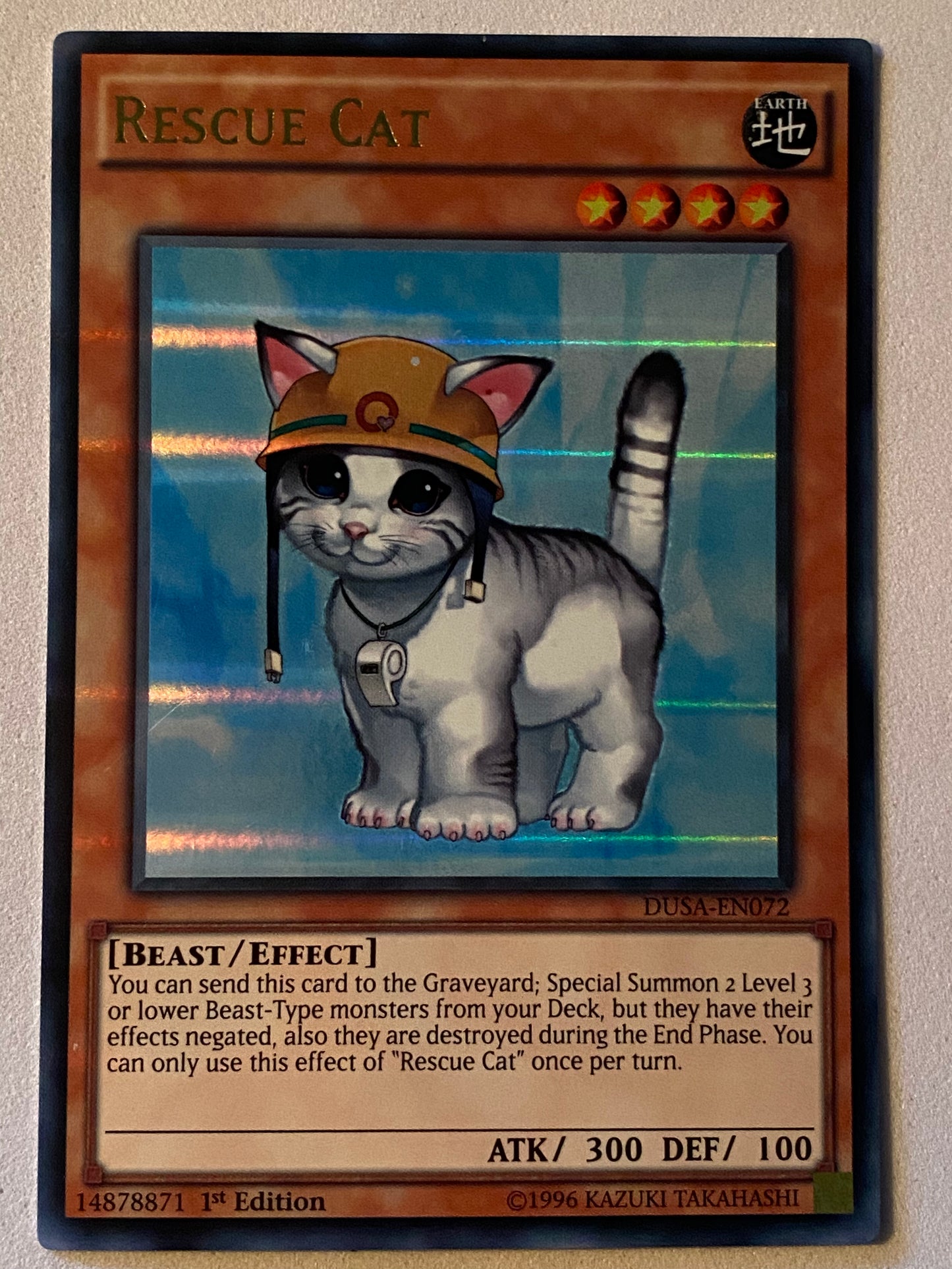 Rescue Cat DUSA-EN072