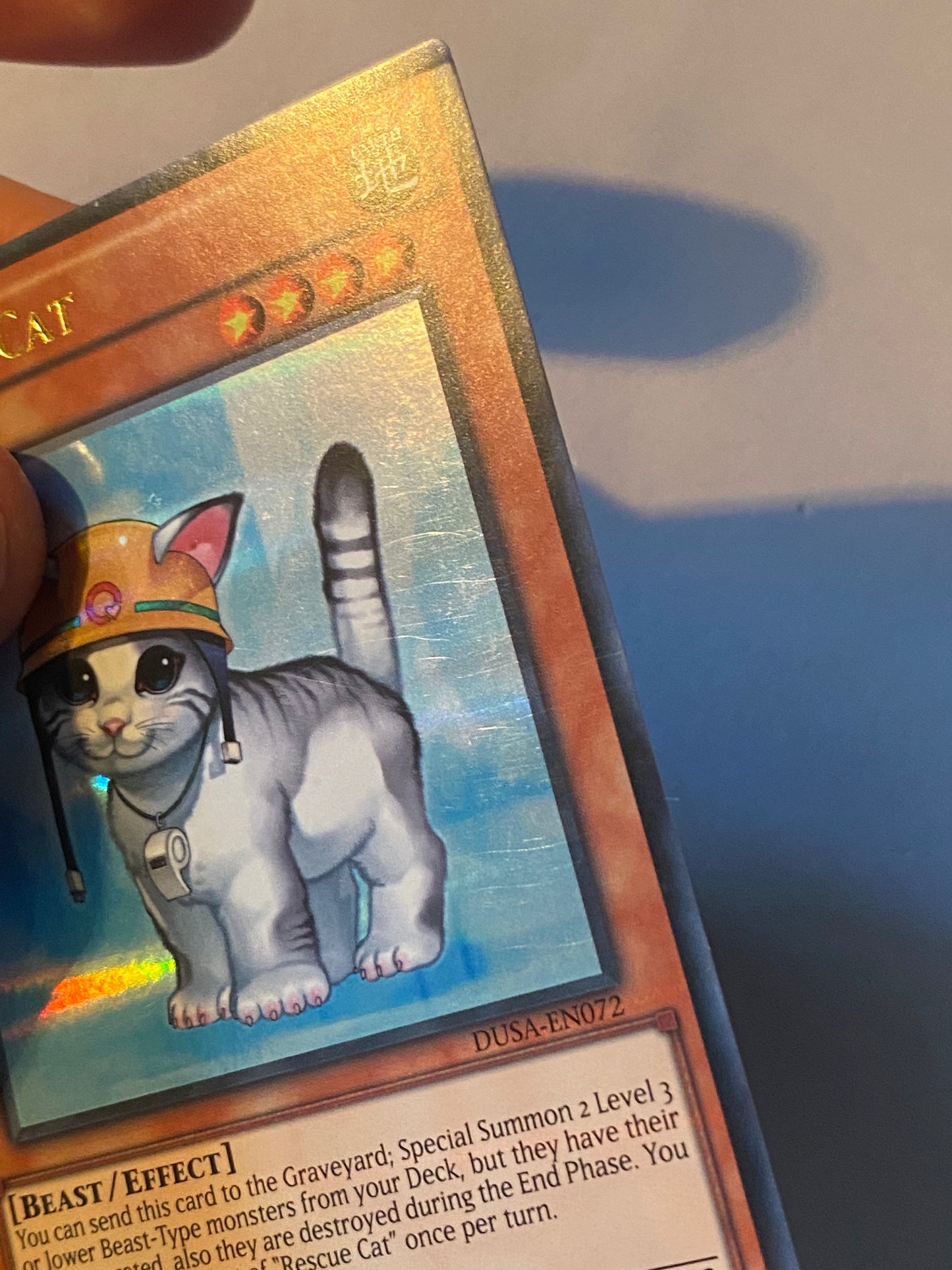 Rescue Cat DUSA-EN072